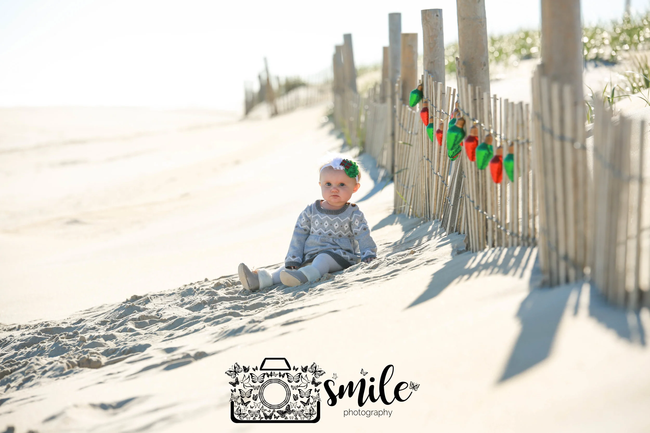 LBI Christmas Minis
