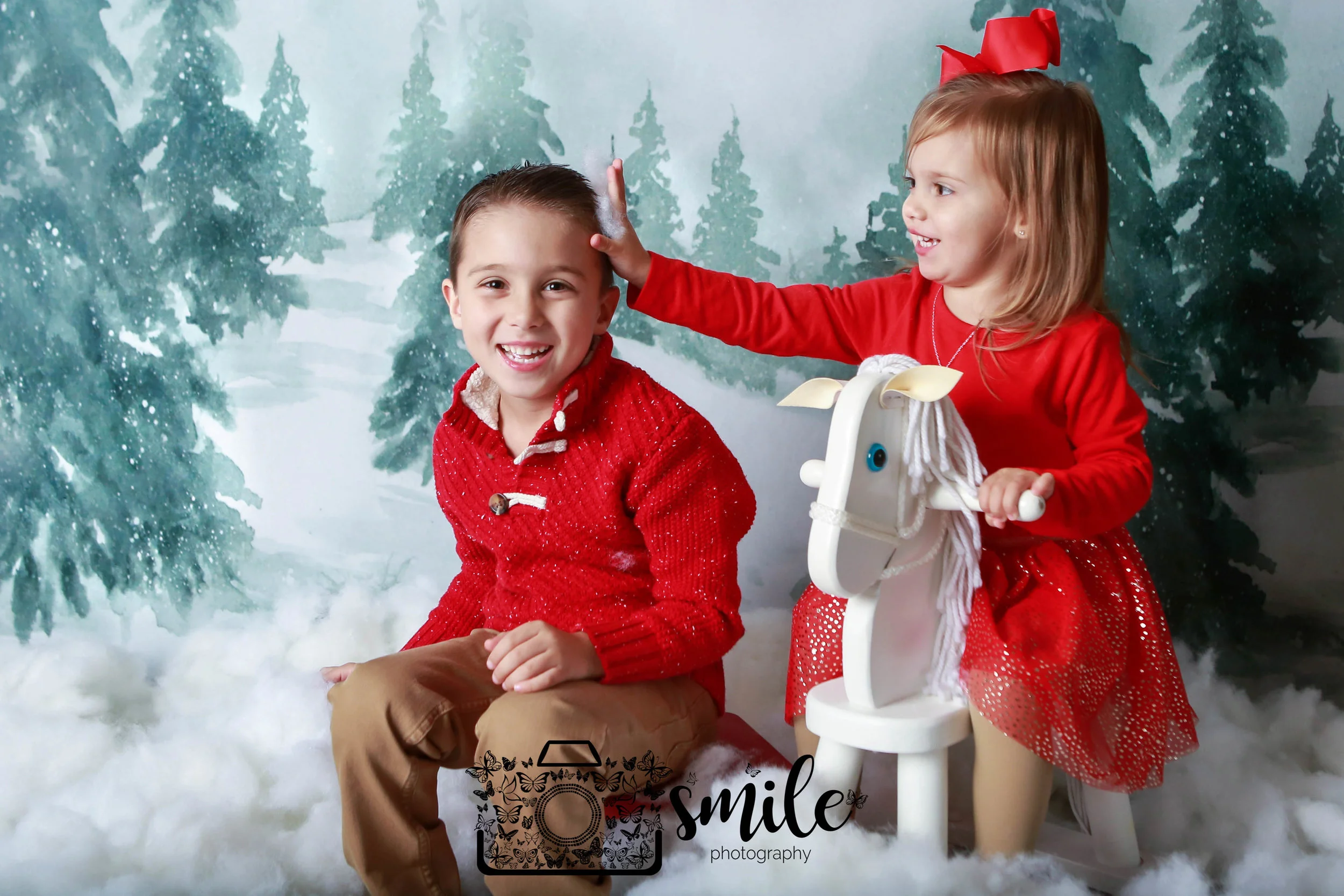 Indoor Christmas Minis