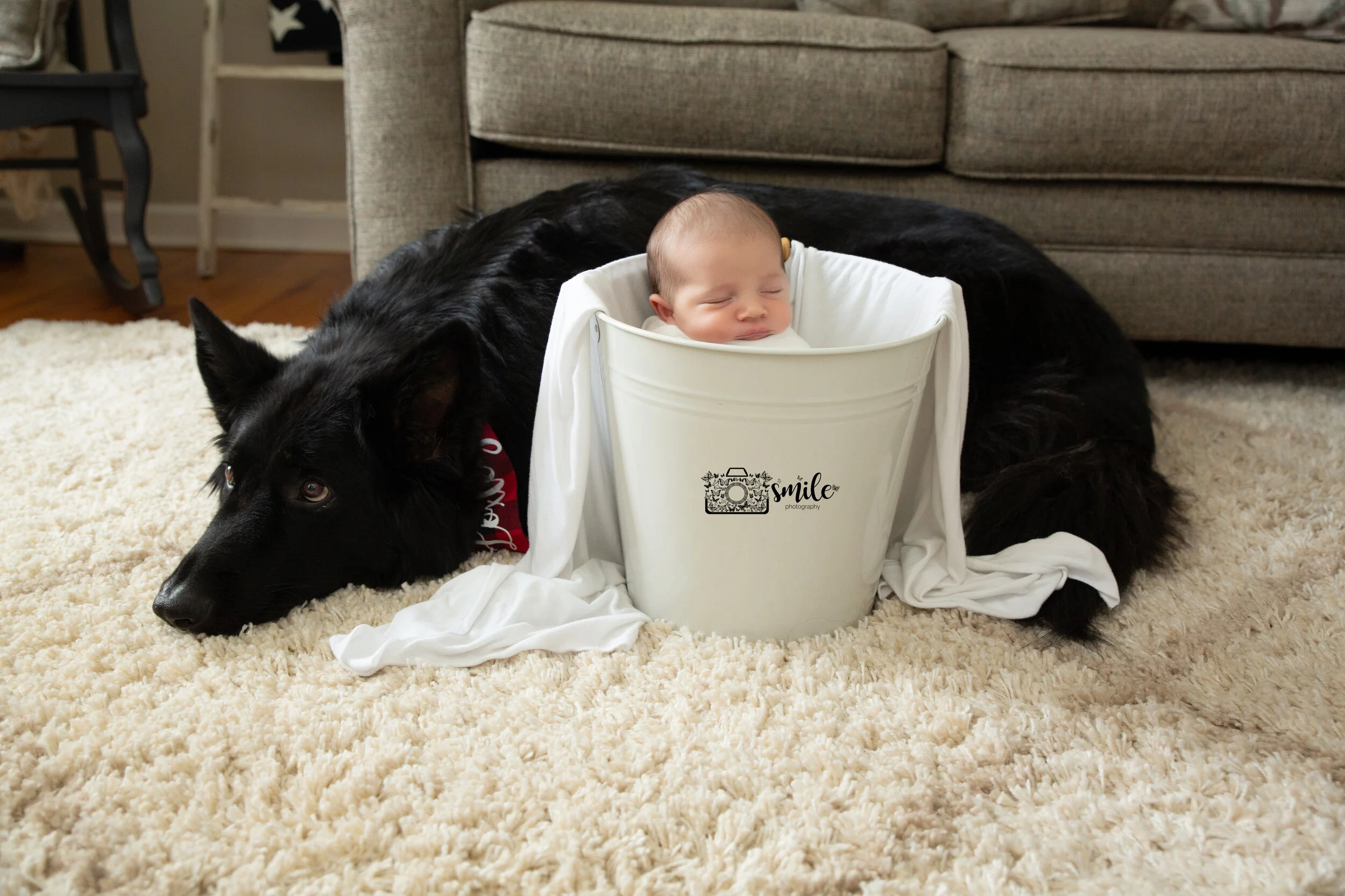 In-Home Newborn Photography