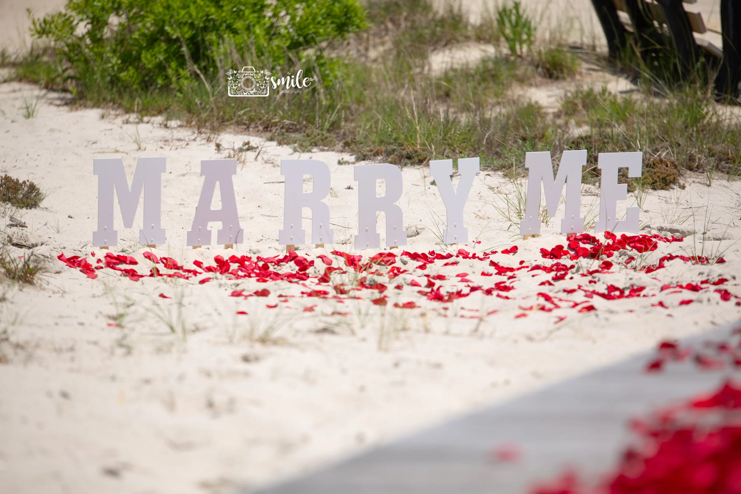 Proposal Barnegat Light Ocean County NJ 