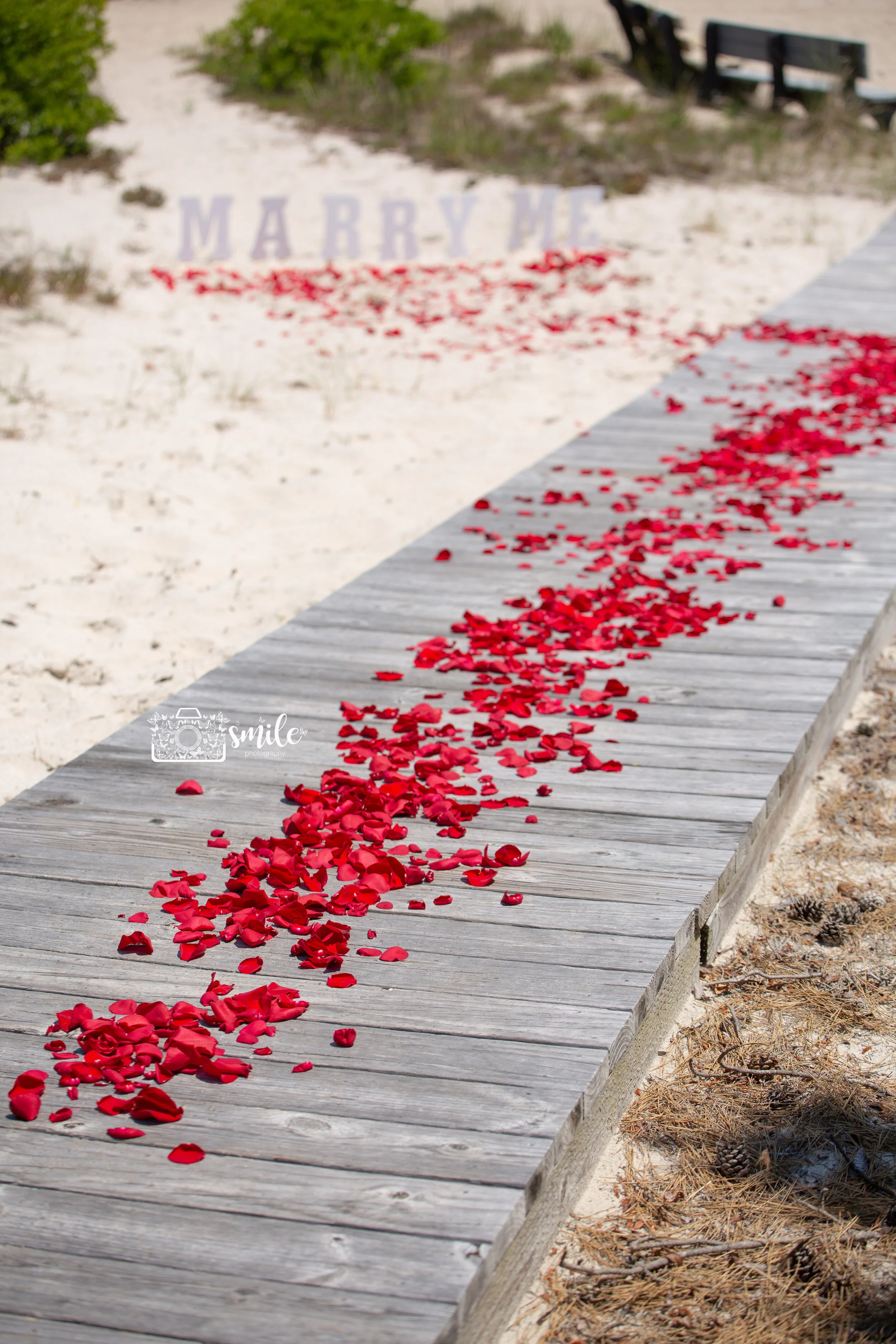 Proposal Barnegat Light Ocean County NJ 
