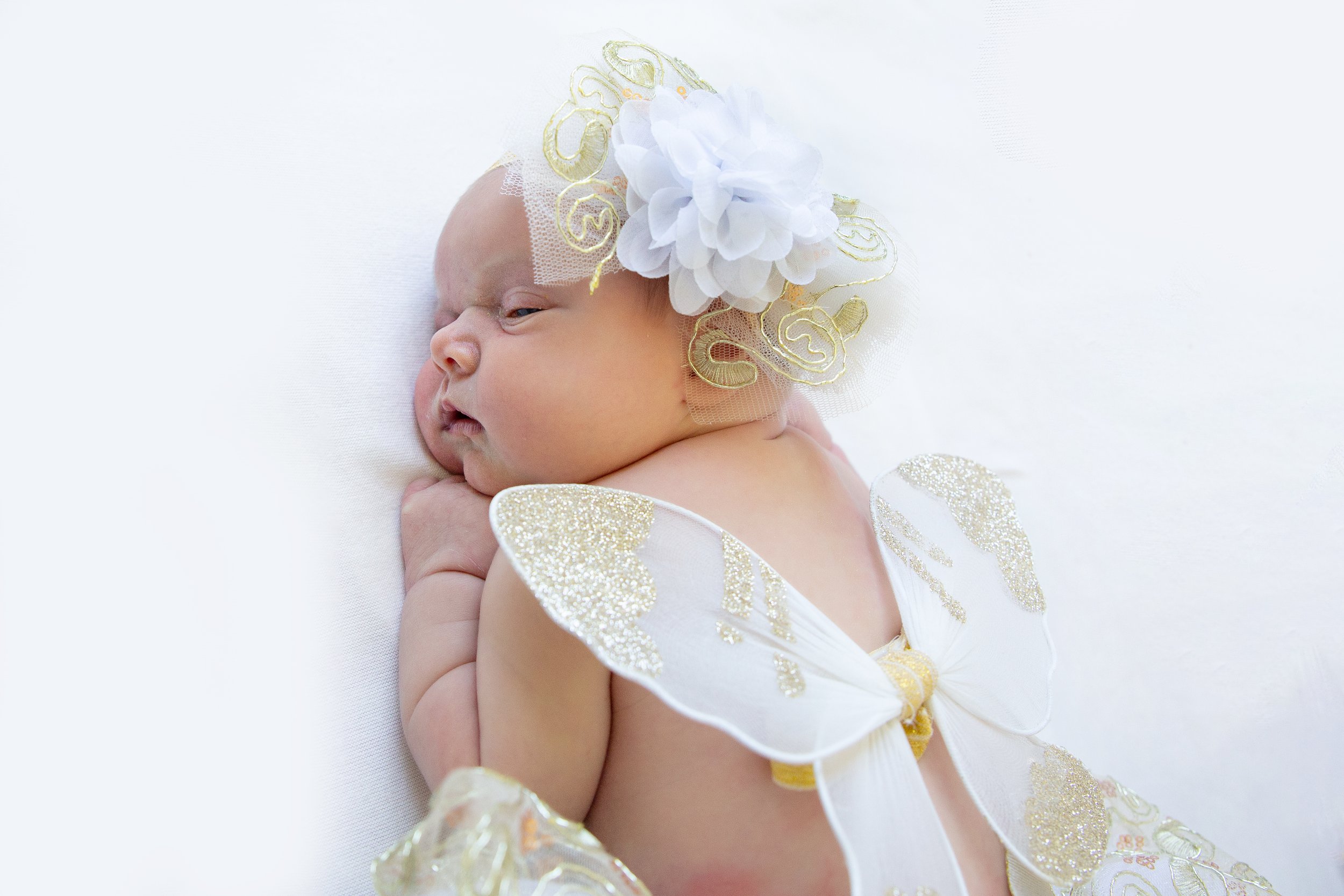 Newborn Photography Ocean County NJ