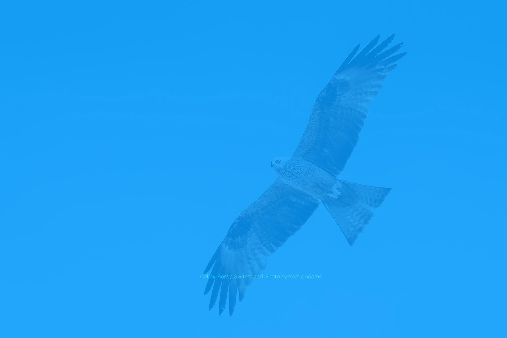 High-performance in the workplace