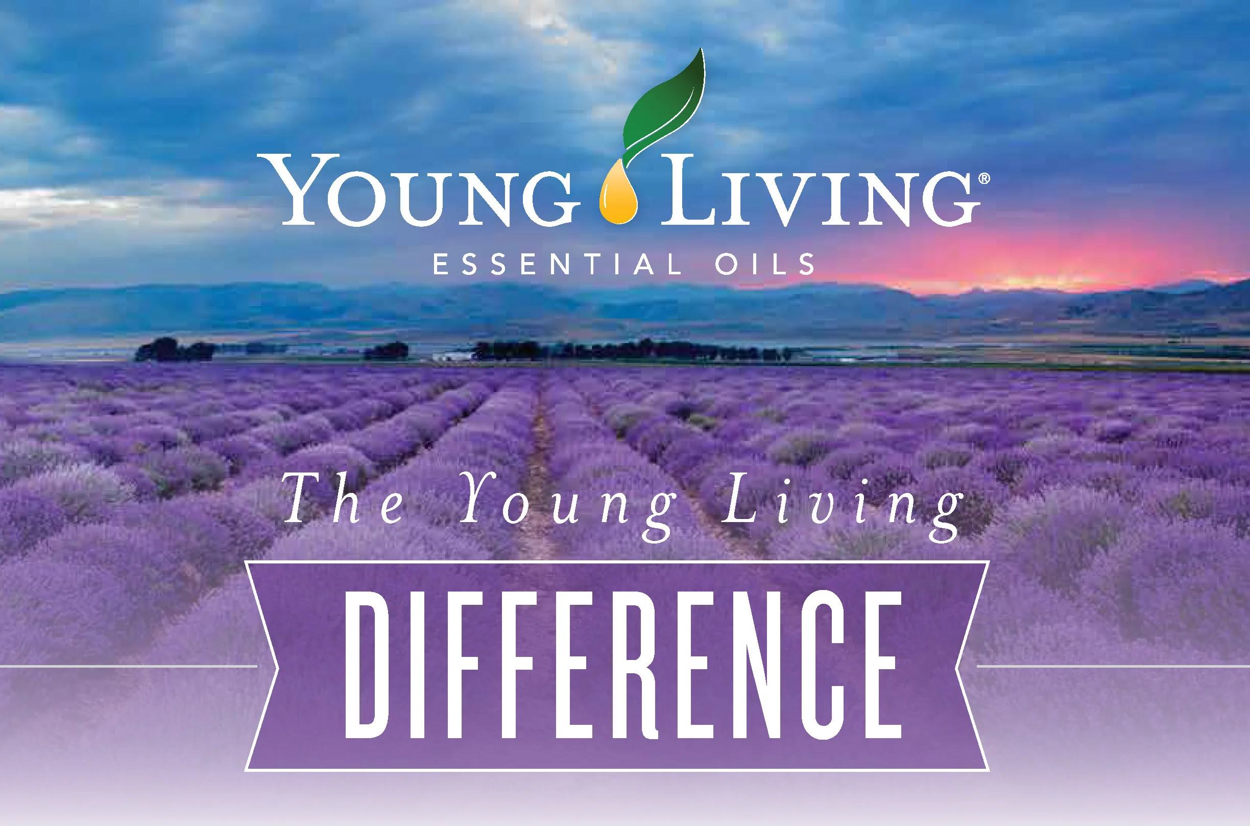 the-young-living-difference.jpg