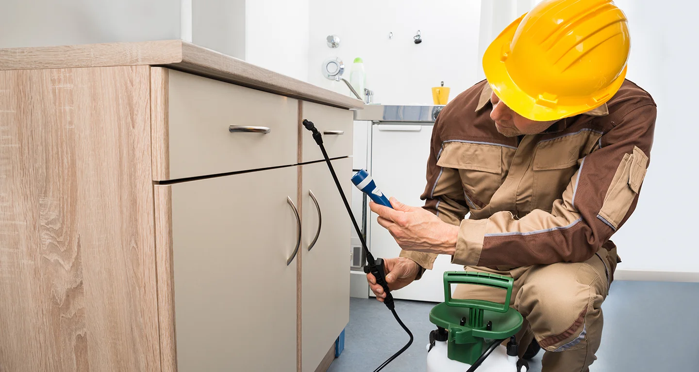Home Inspection Insects.jpg