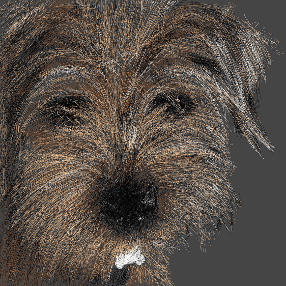 Basil - 30cm by 30cm