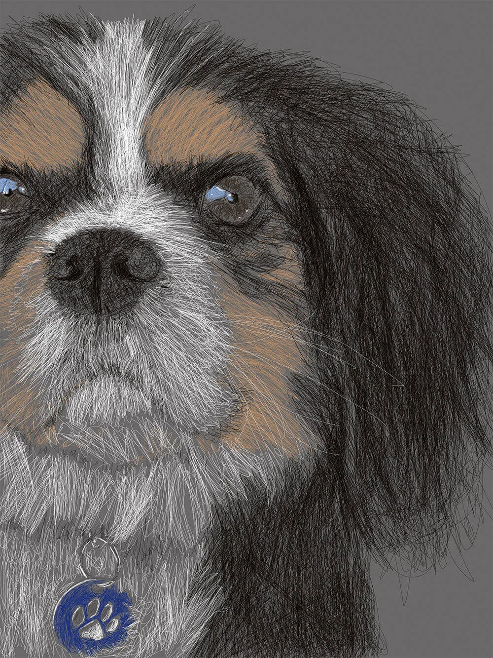 Monty - 30cm x 40cm