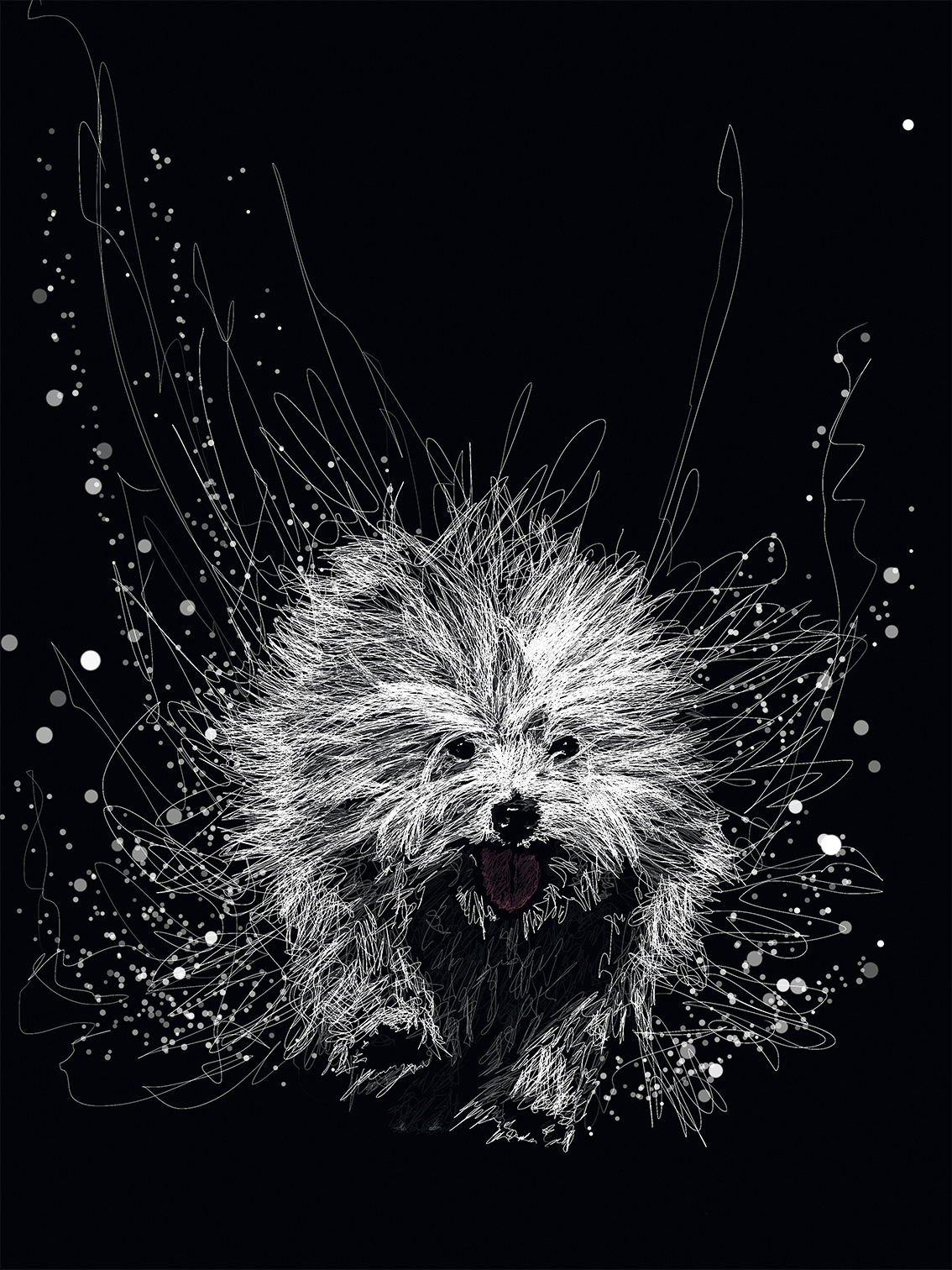 Pippin - 30cm x 40cm