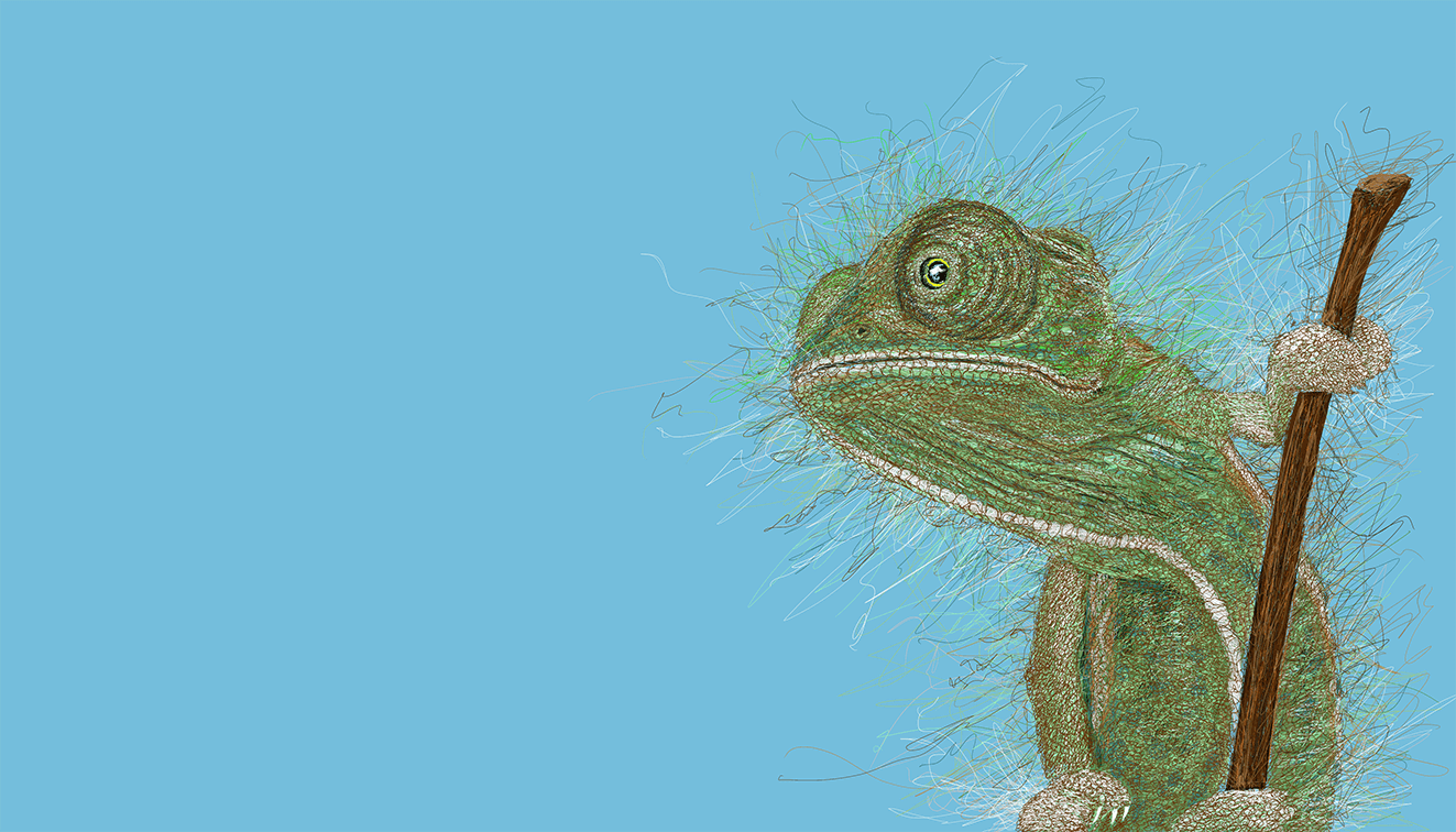Edgar - 70cm x 40cm