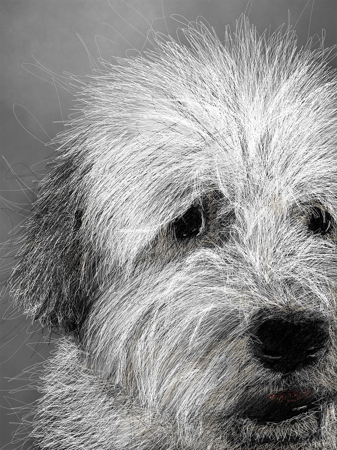 Dudley - 30cm x 40cm
