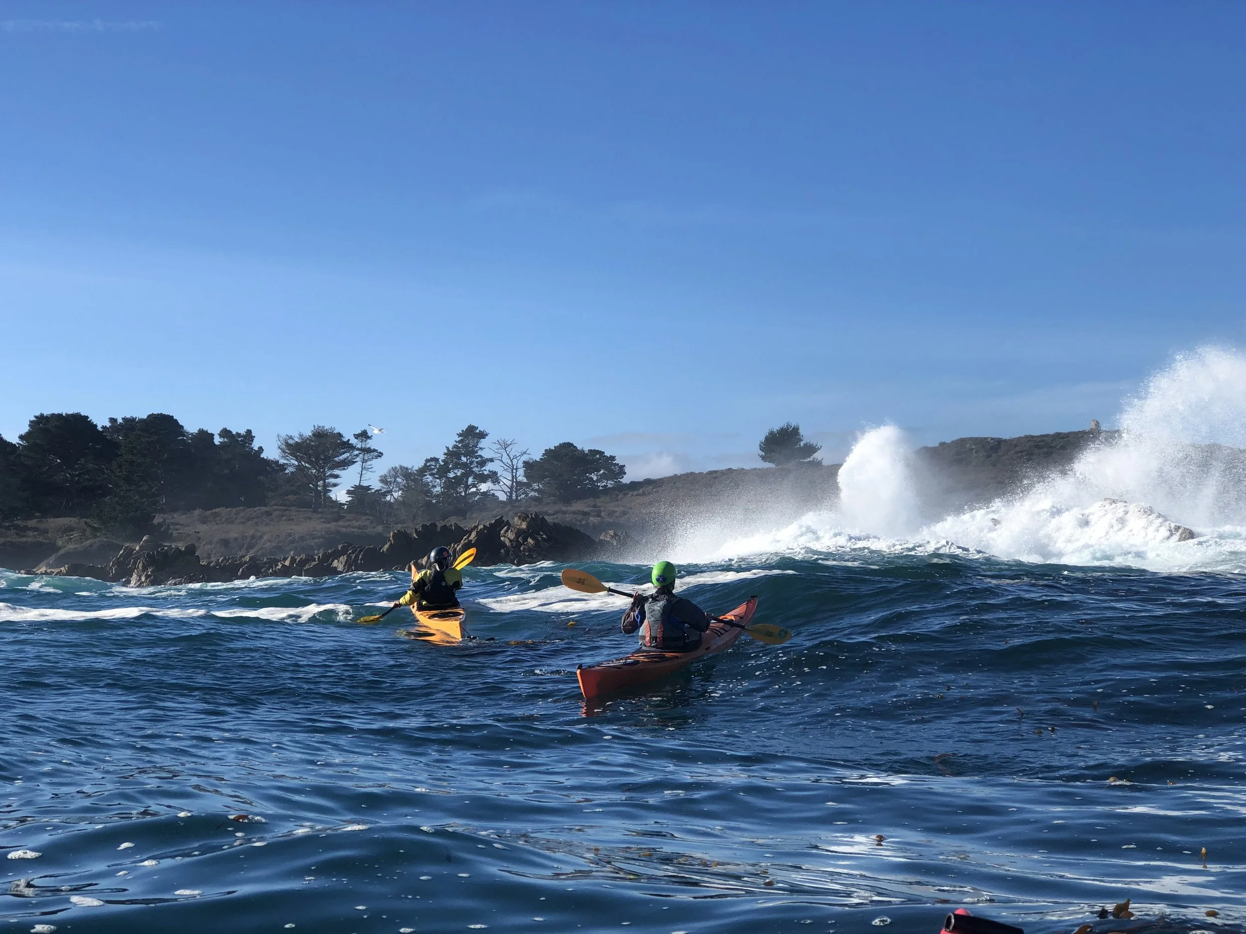 Open Coastal Leadership with David Santaniello & LZ