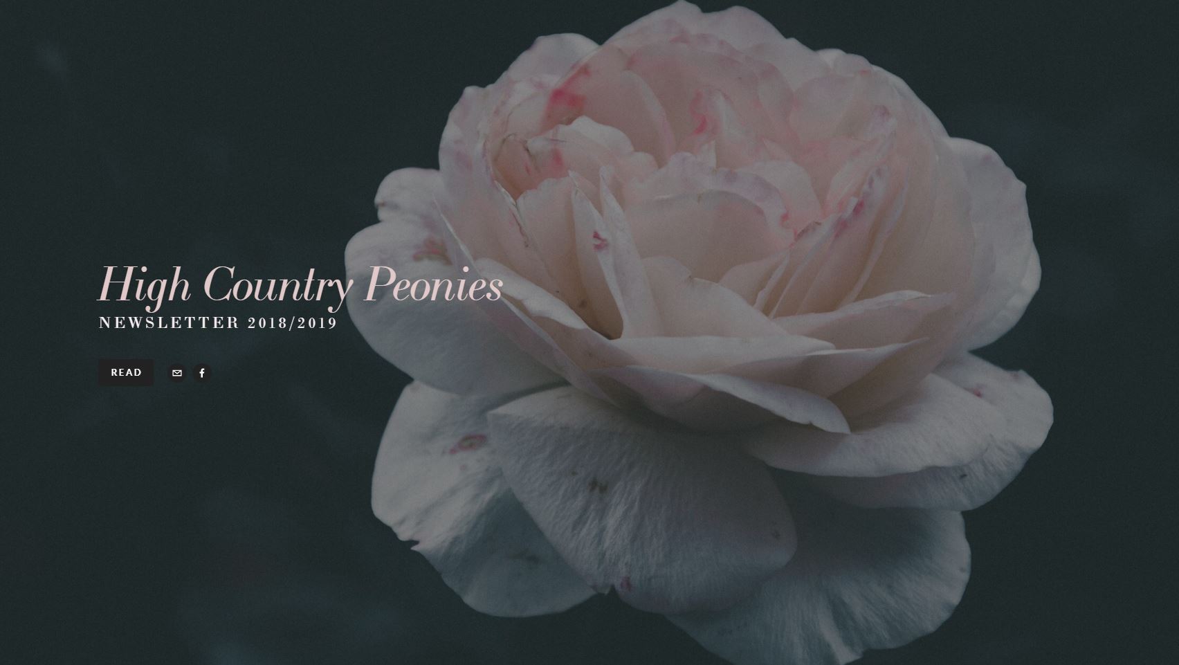 Newsletter 2018/2019