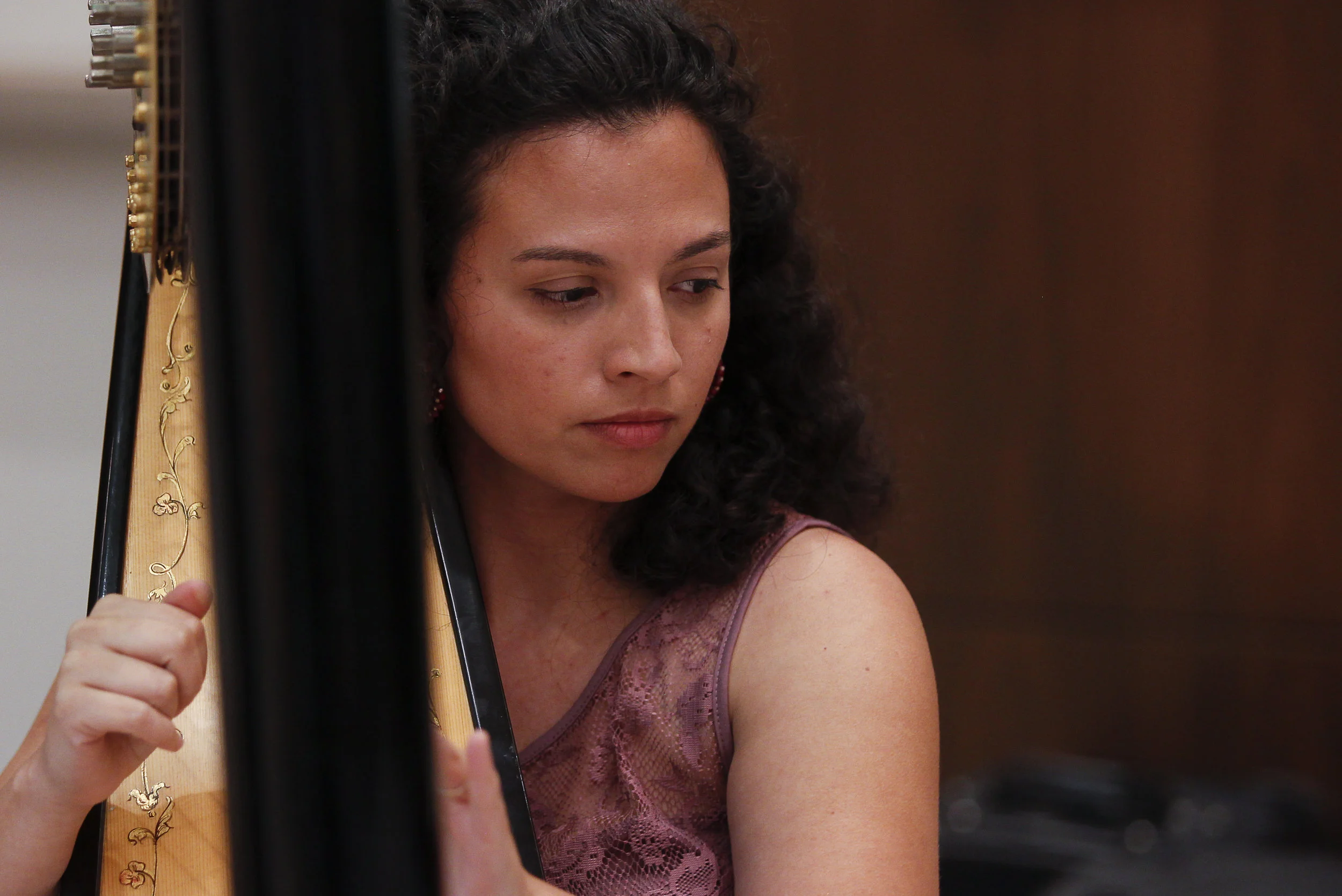 harpist in central coast