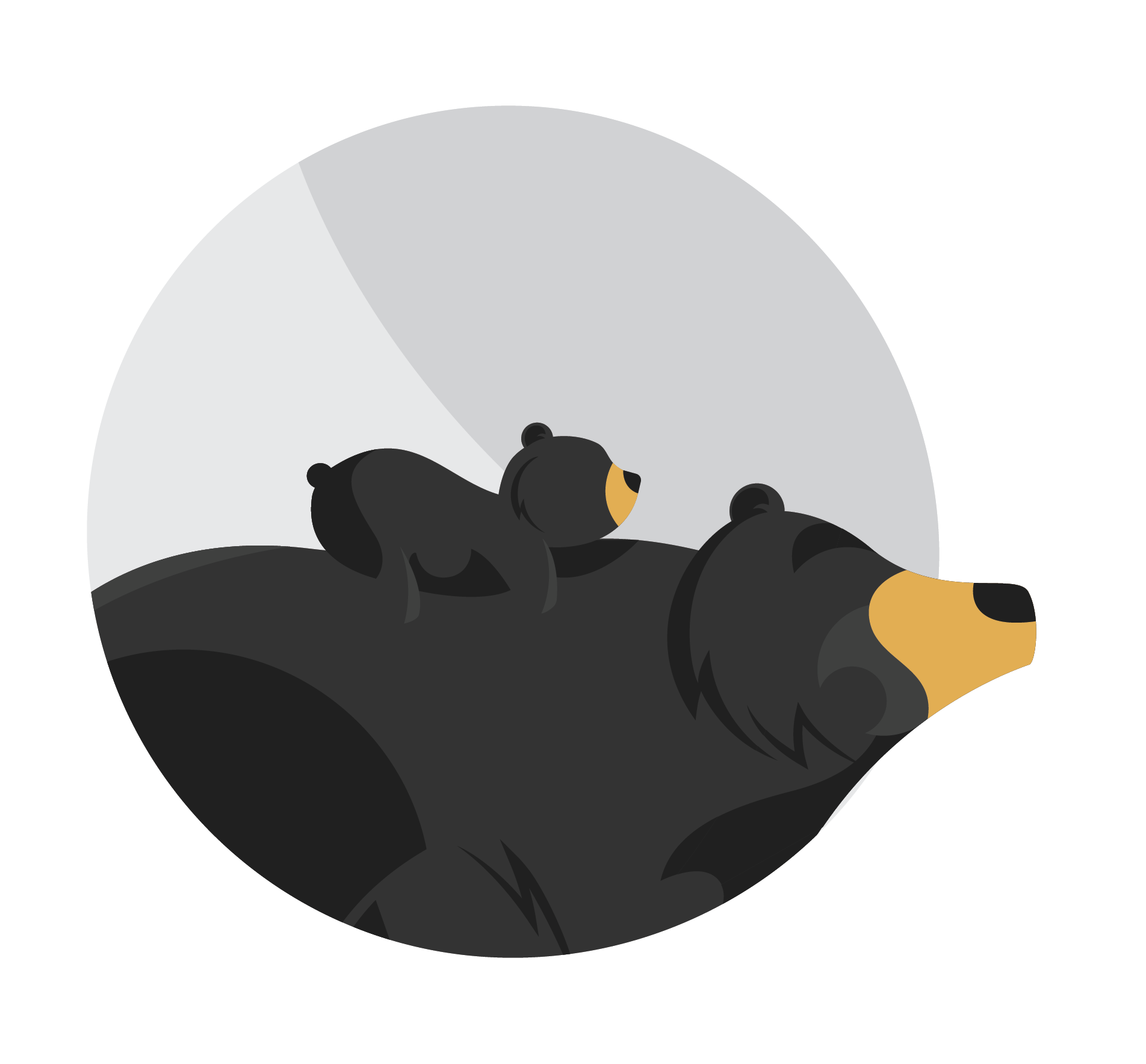 wi-guide-illustrations-18.png