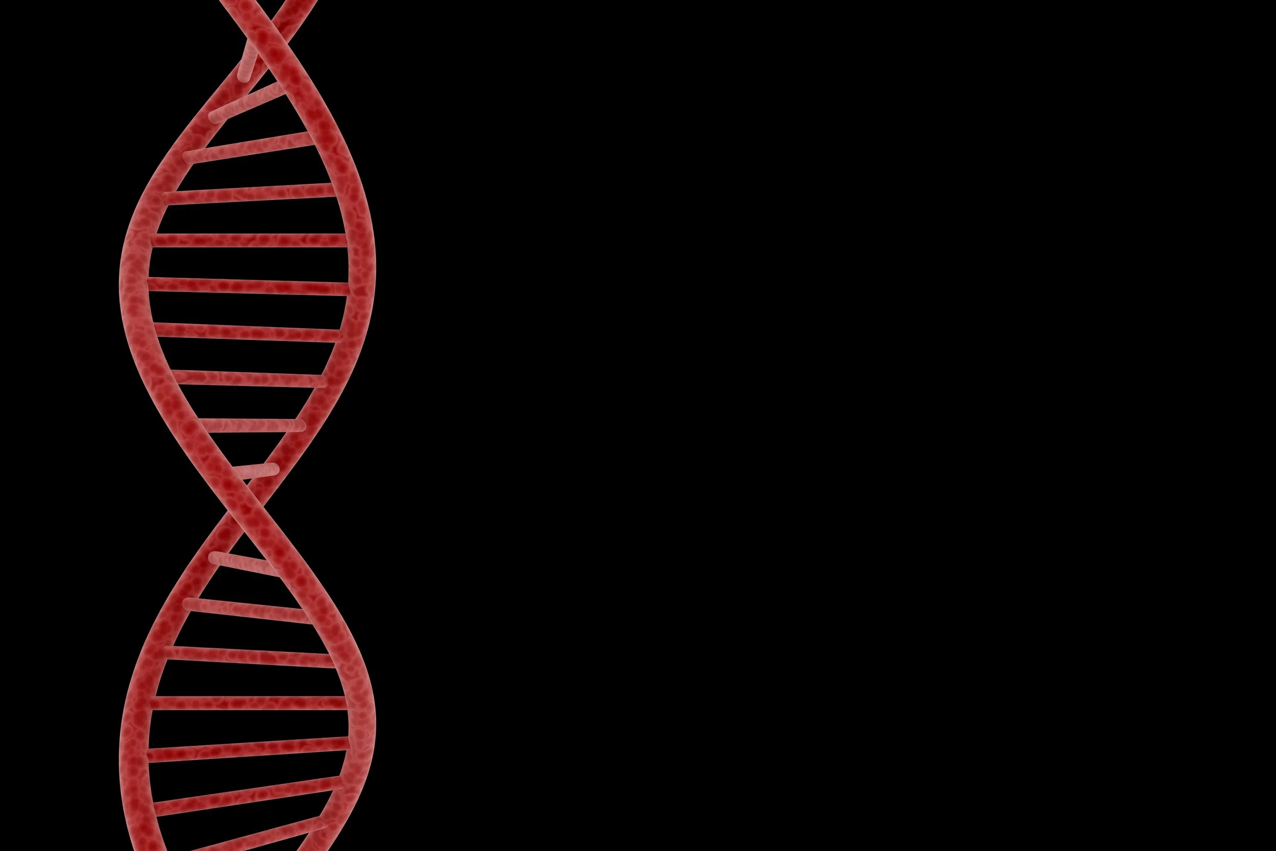 red dna on left of back ground.jpg