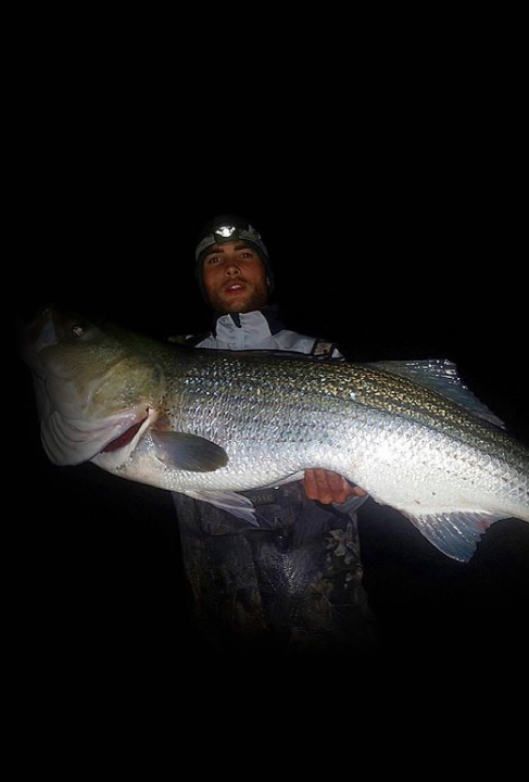 jbfishing1 lands cowsp_cropped.jpg