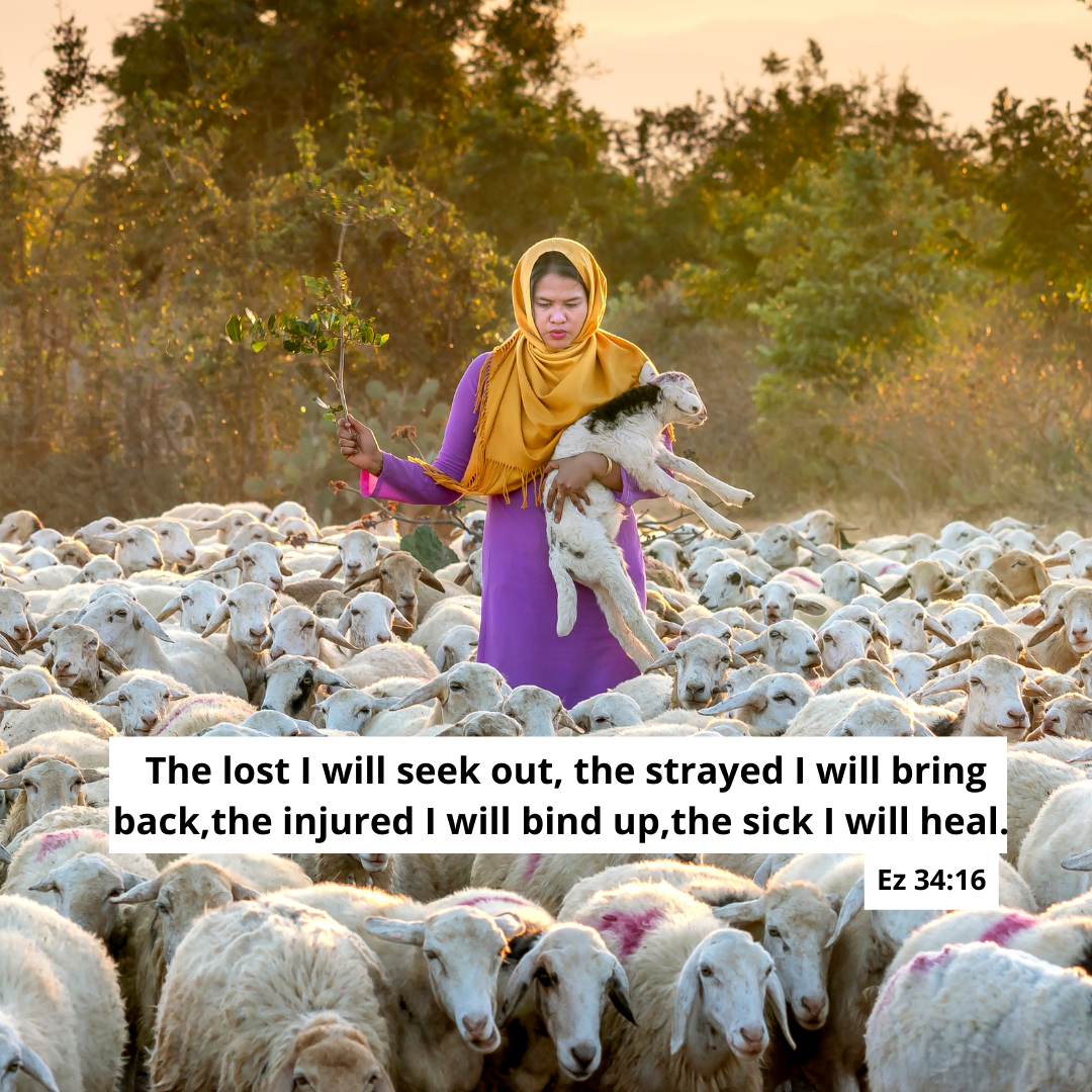 Troublesome Goats and Sheepish Sheep