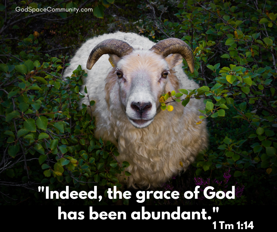 Indeed, the Grace of God Has Been Abundant Podcast Episode