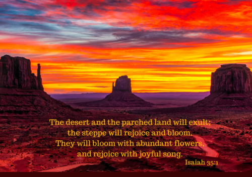 Let All Creation Rejoice! Podcast Episode