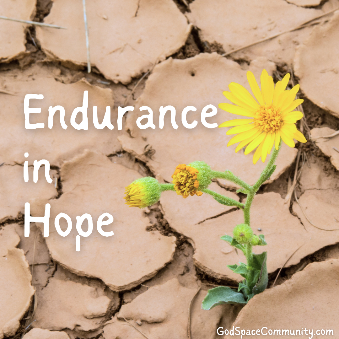Endurance in Hope