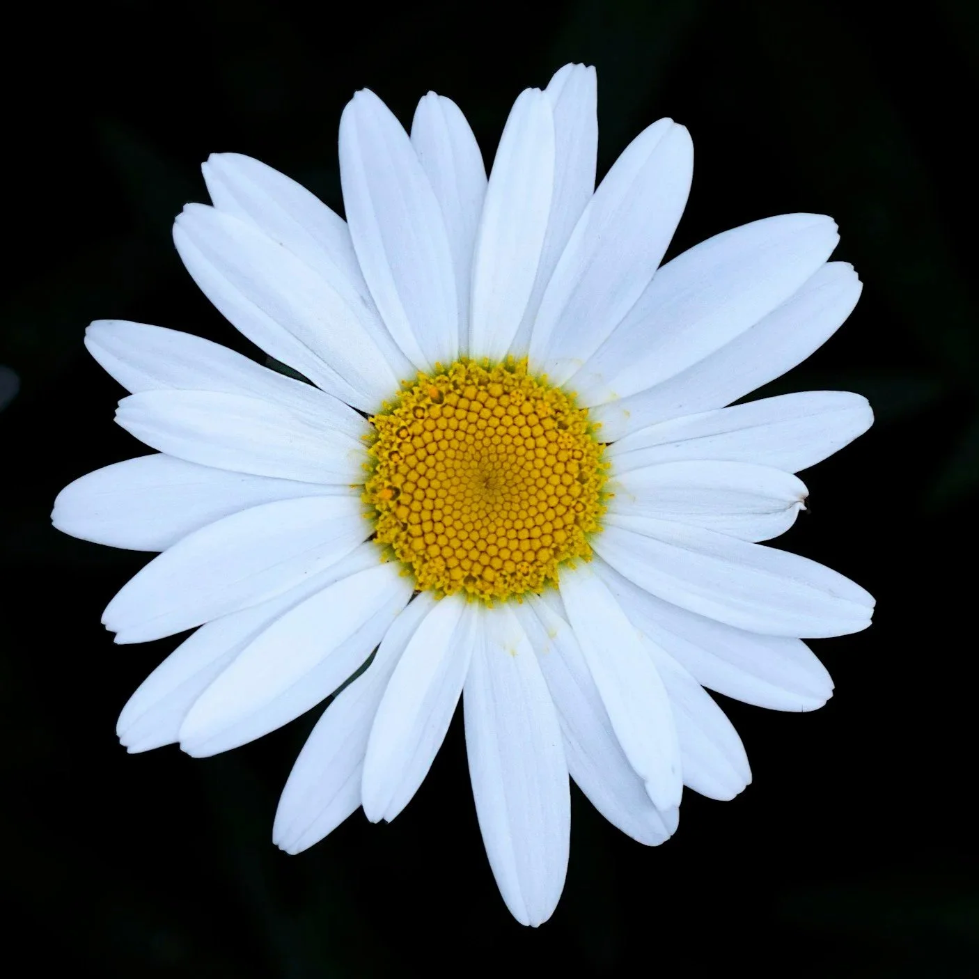 What If More Isn’t Better? Renewal, Resistance & Real Life