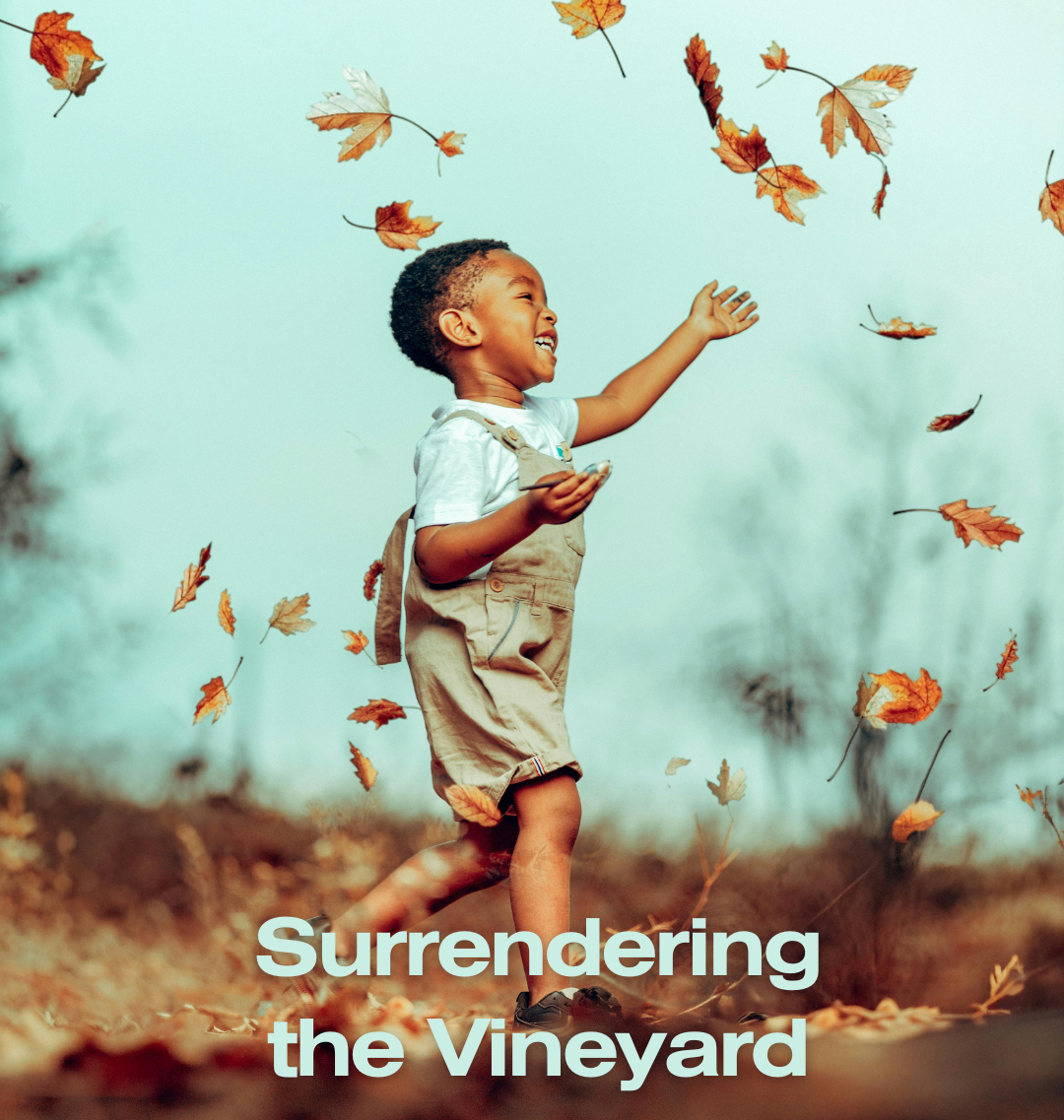 Surrendering the Vineyard