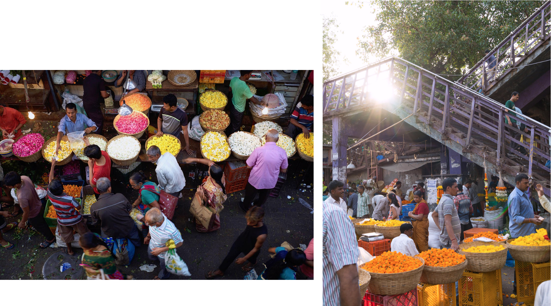 Photo: Flower Markets by Björn Wallander