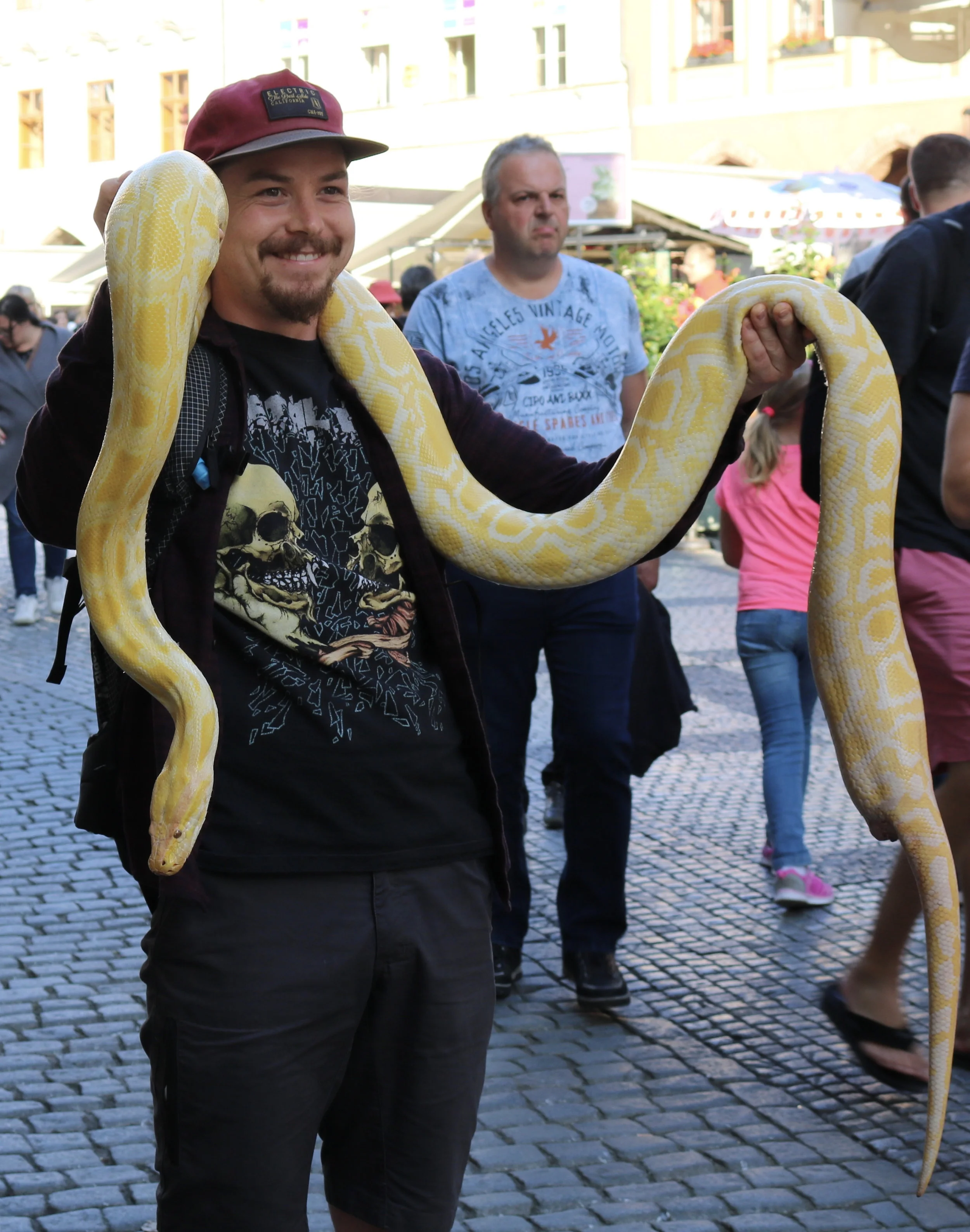 Snake.jpg