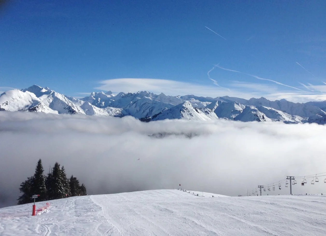 Mont Cheri Groomers.jpg