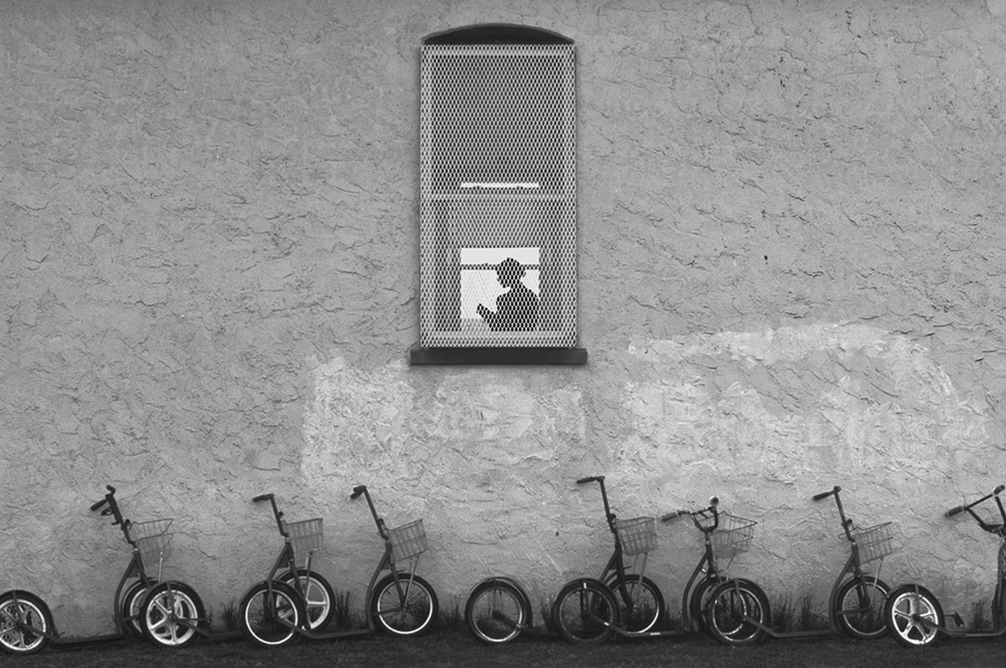 Amish 10, Lancaster County, PA, 2001