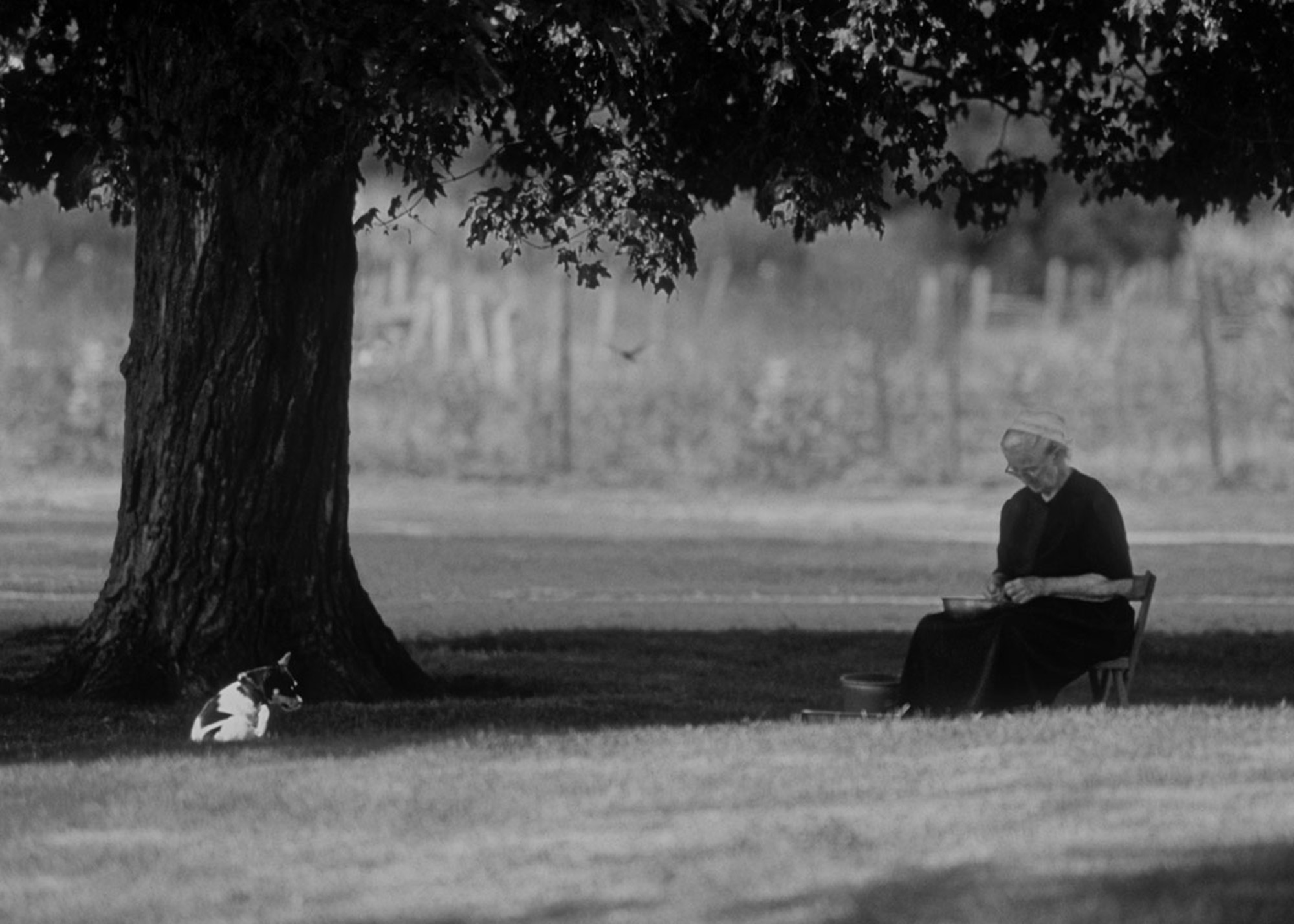 Amish 53, Elkhart County, IN, 2002