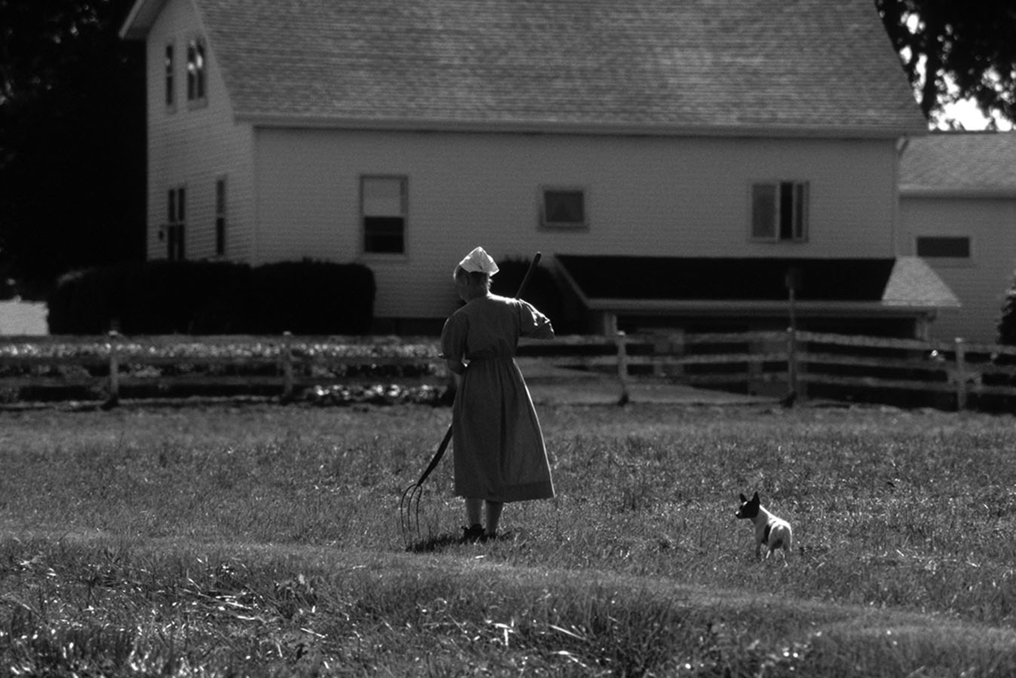 Amish 54, Elkhart County, IN, 2002