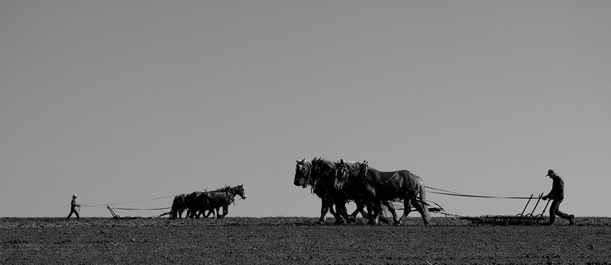 Amish 83, Monroe County, WI, 2003