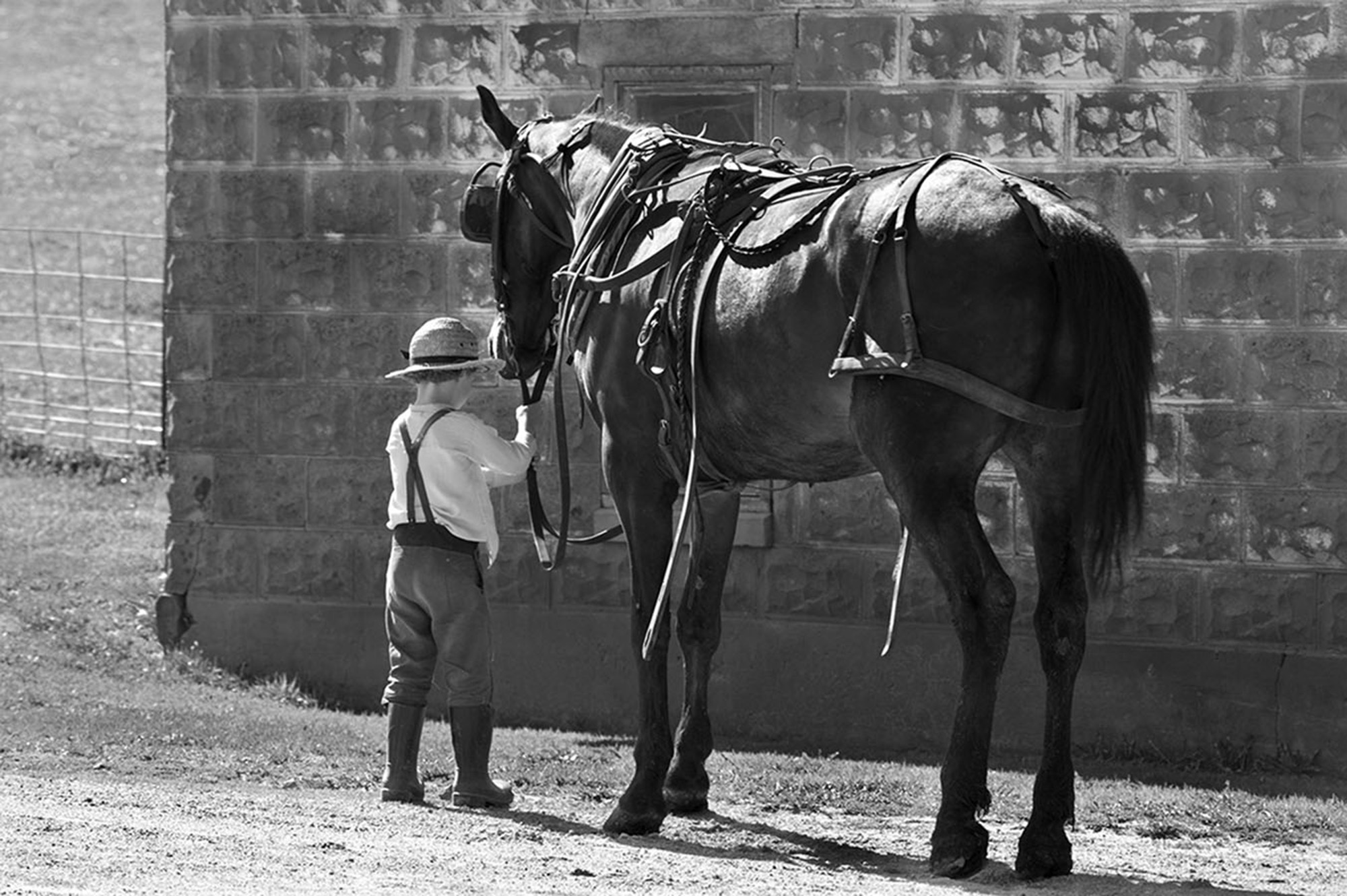 Amish 86, Monroe County, WI, 2003