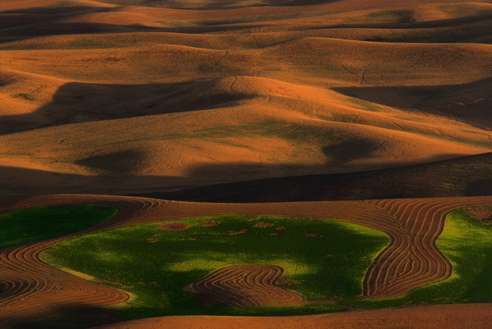Palouse Pattern #24, Palouse, WA 2001