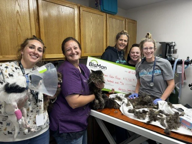 BisMan - Furry Friends Dental Table - 2026.jpeg