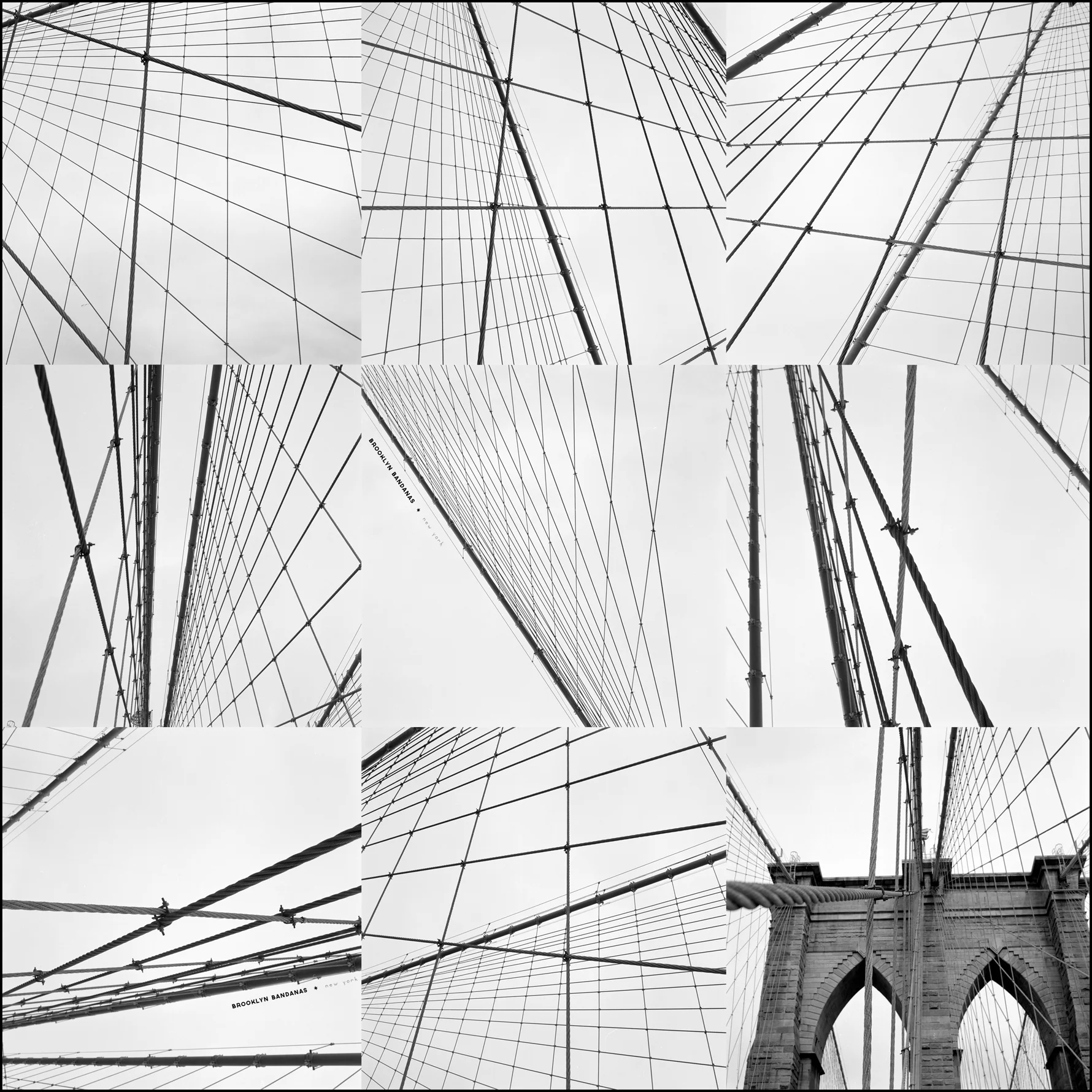 BB.wires.large.final.web.jpg