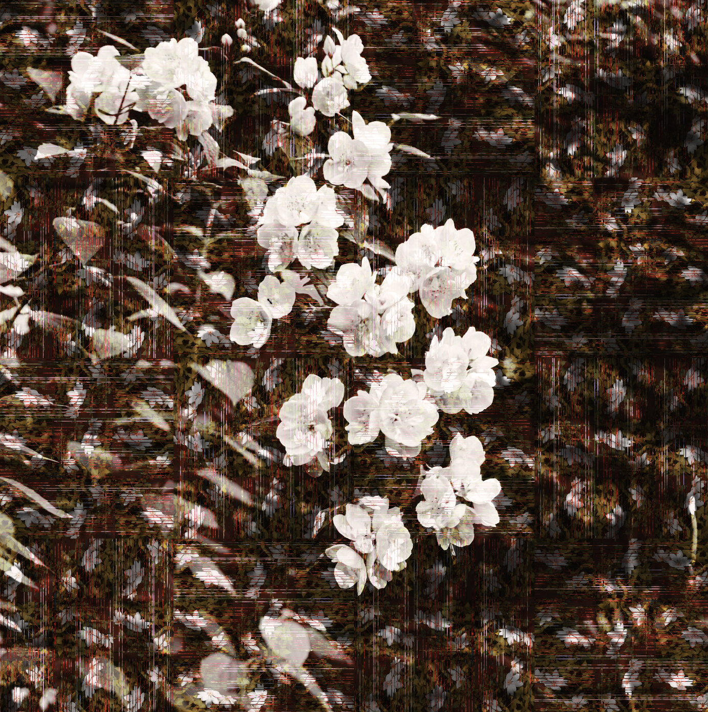 Screenshot 2023-10-03 at 3.19.38 PM.png