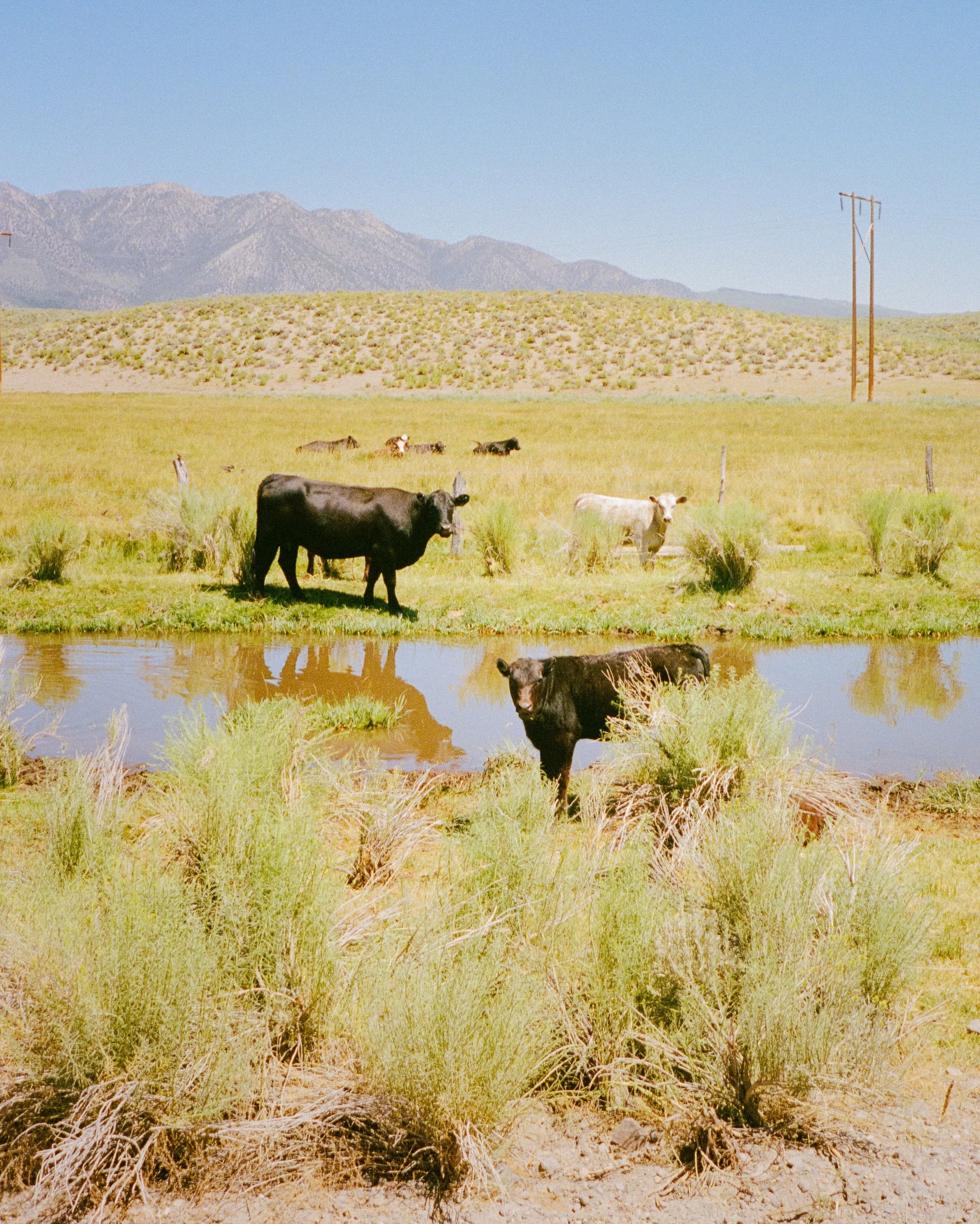 photo-output_1 2.JPEG