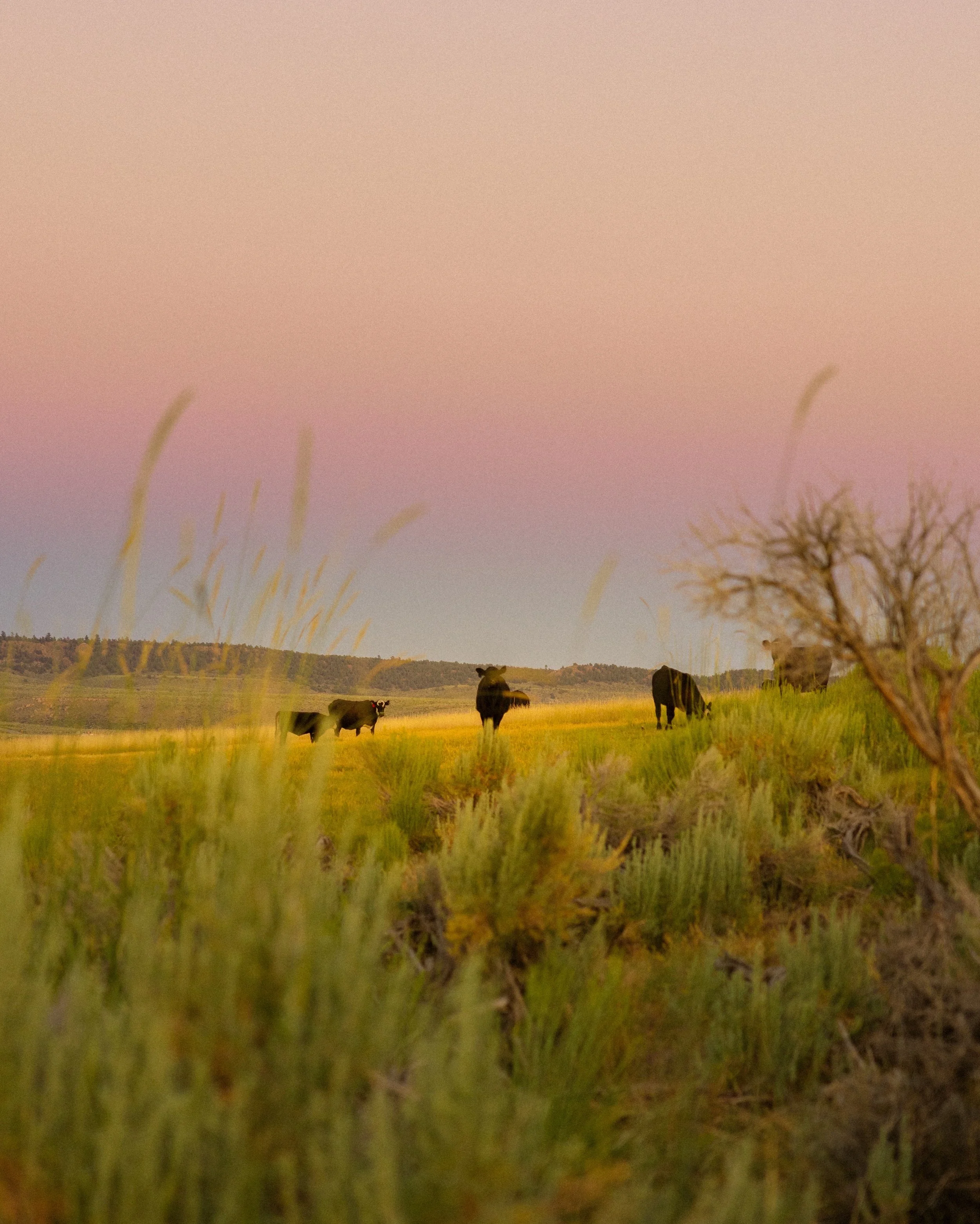 photo-output_2 2.JPEG