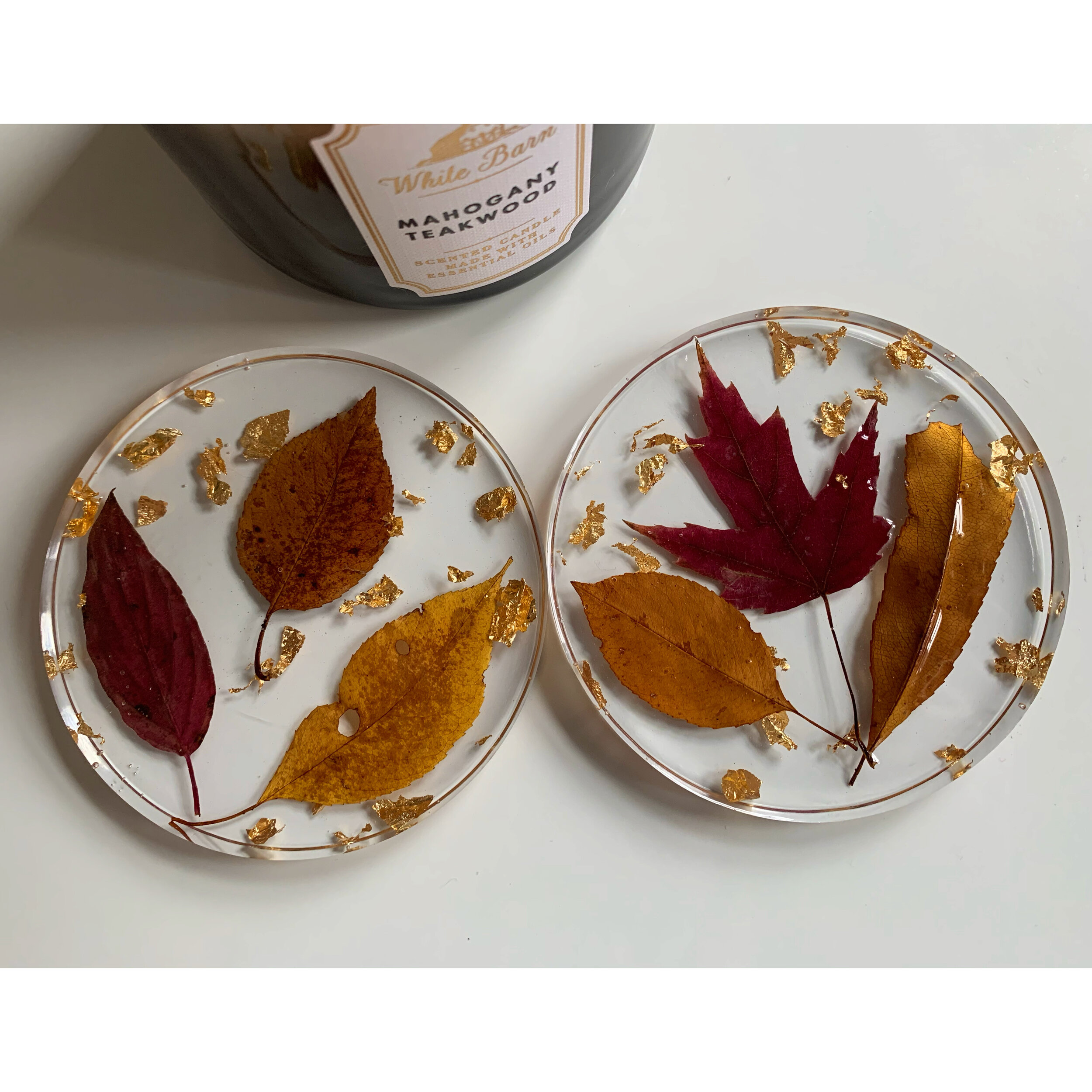 AfterlightImage 13.JPG