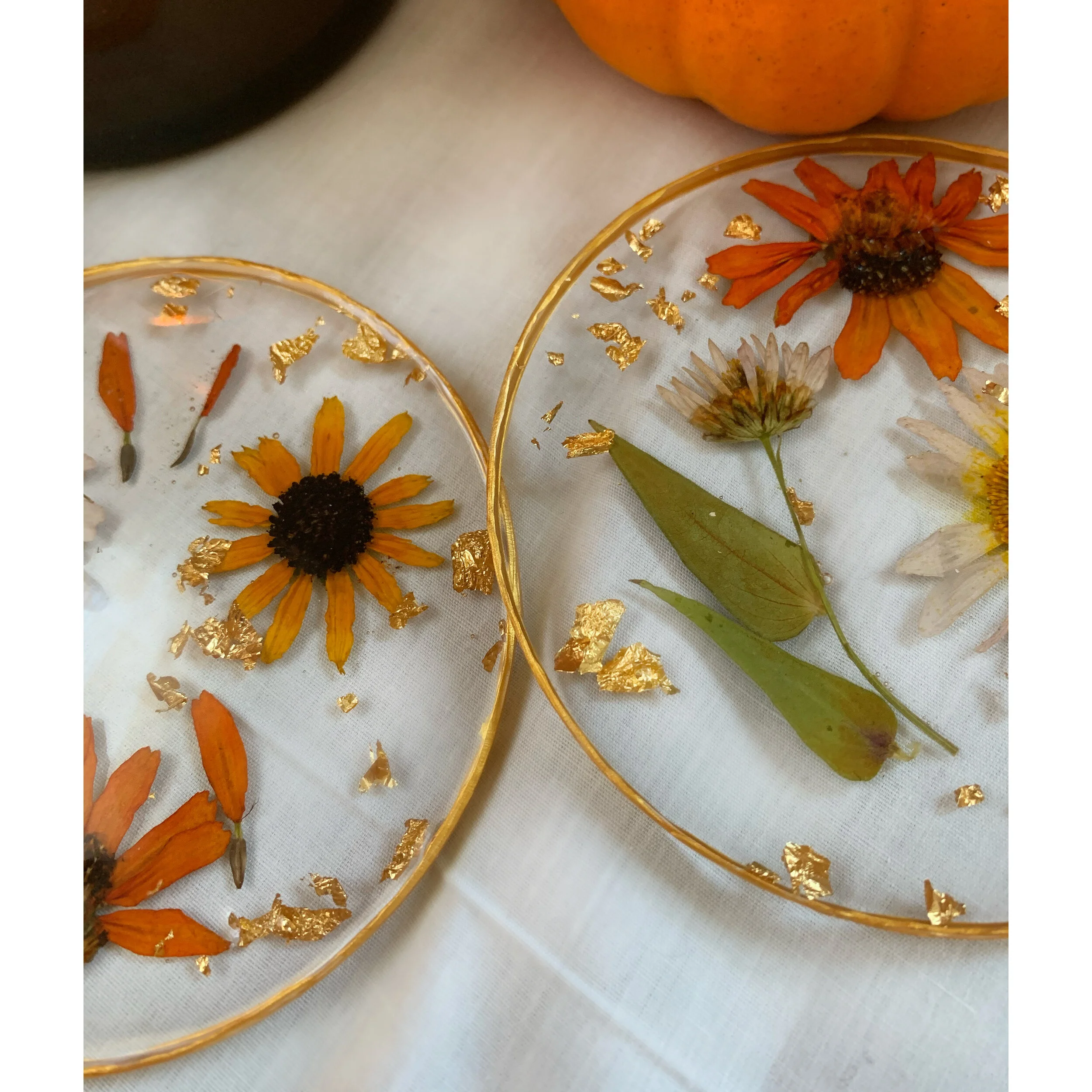 AfterlightImage 60.JPG