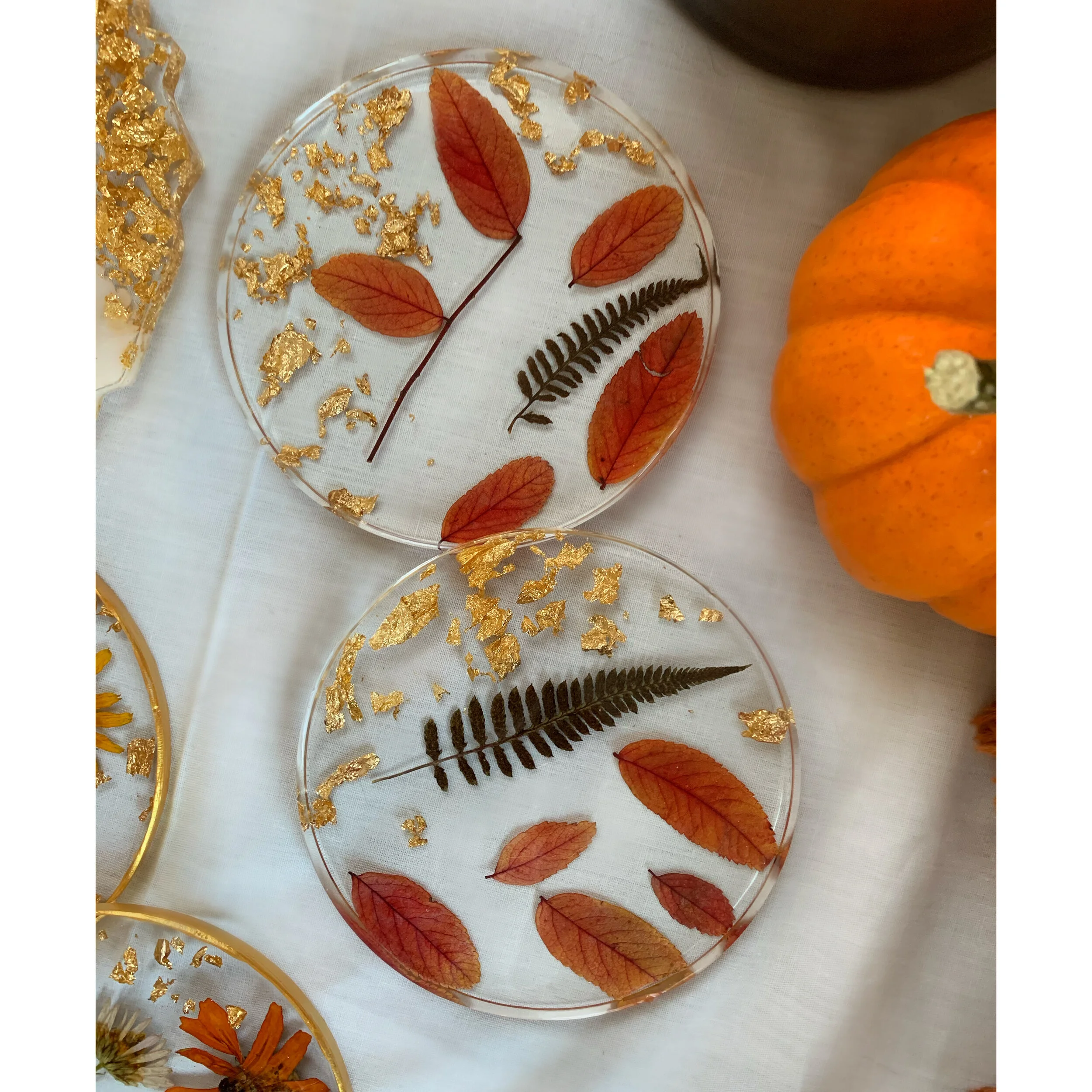 AfterlightImage 48.JPG