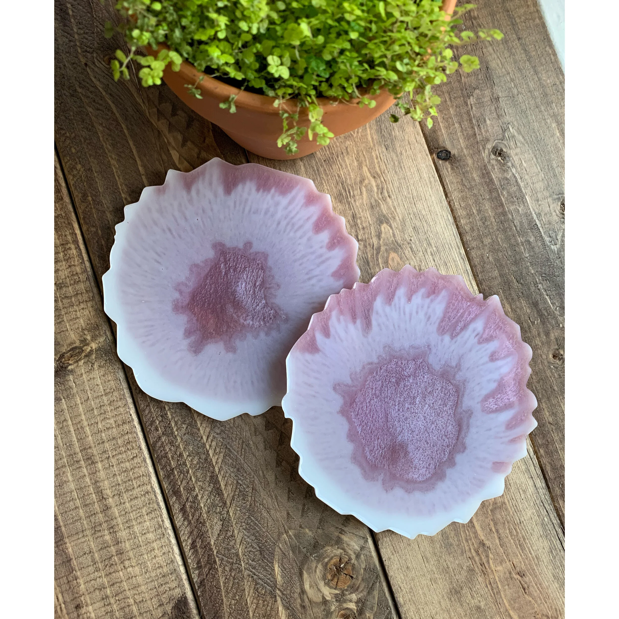 AfterlightImage 83.JPG