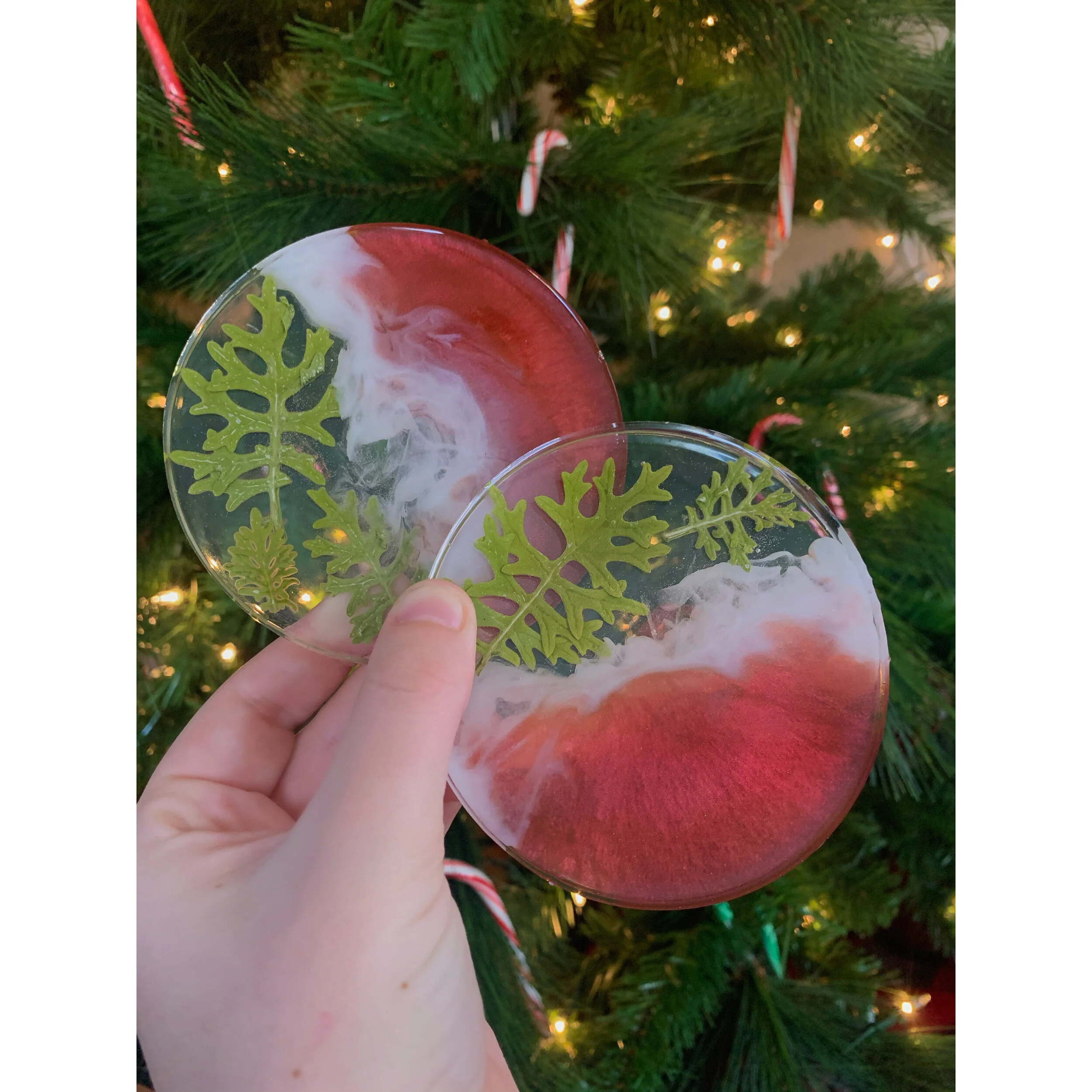 Burgandy Pine Coasters