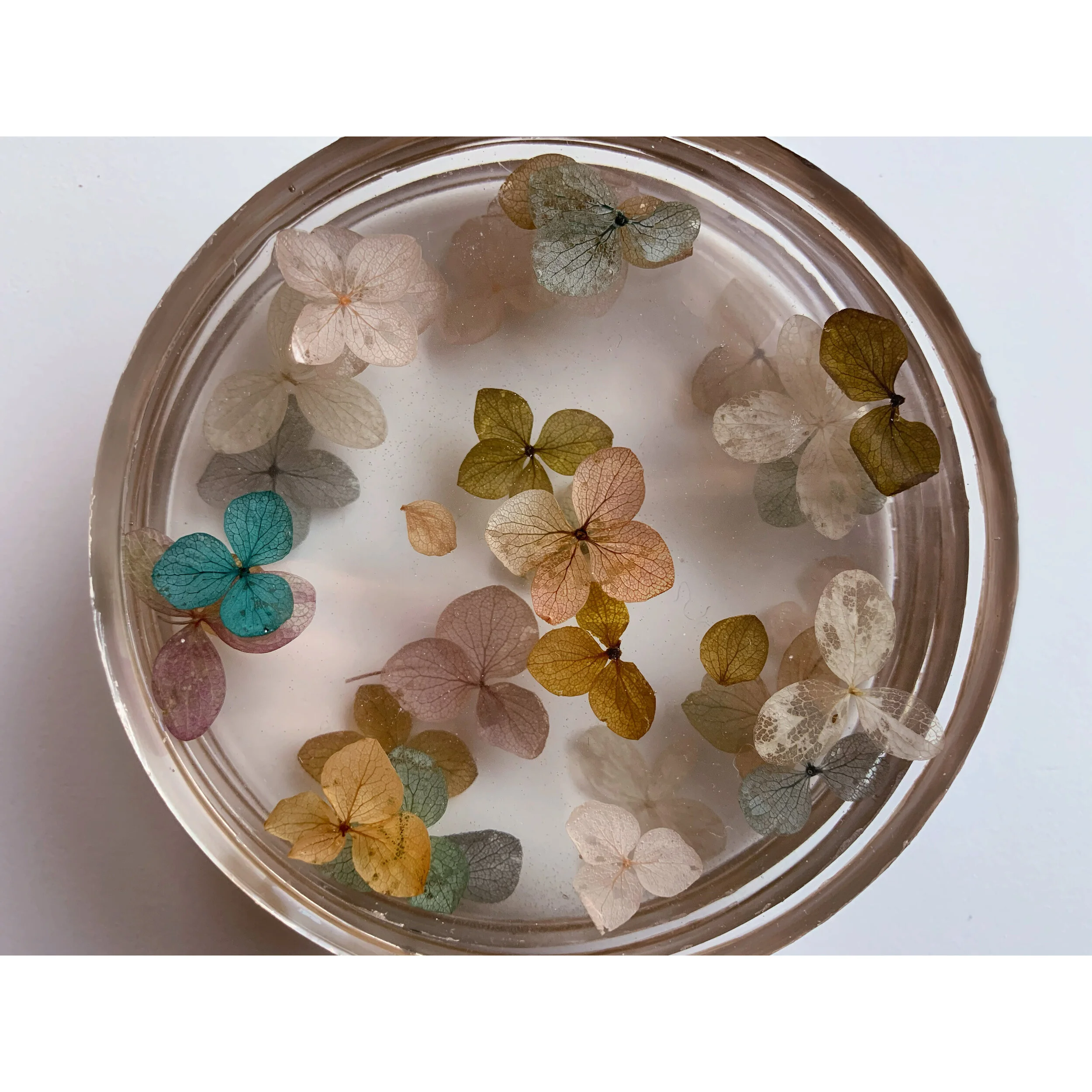 AfterlightImage 125.JPG