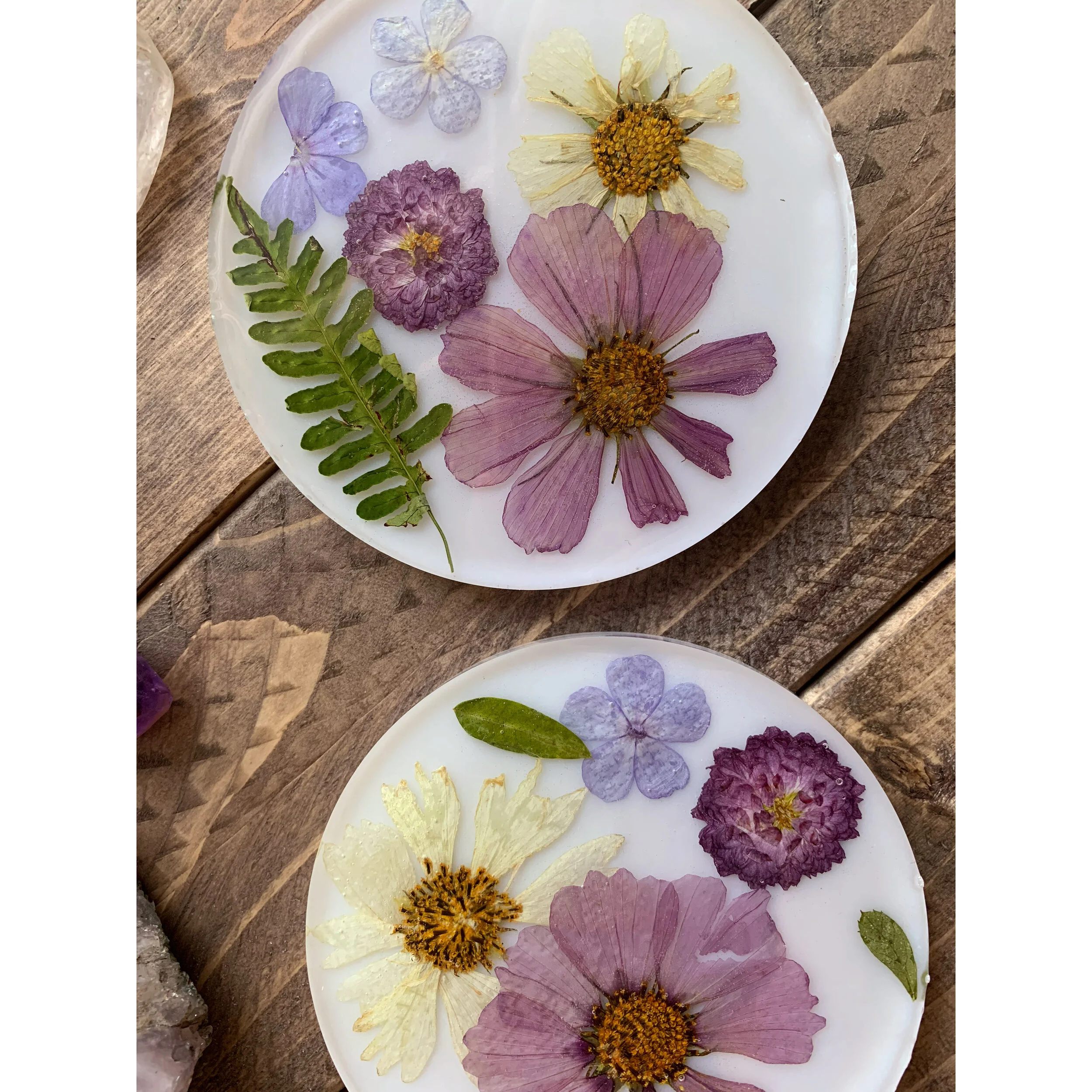 AfterlightImage 135.JPG