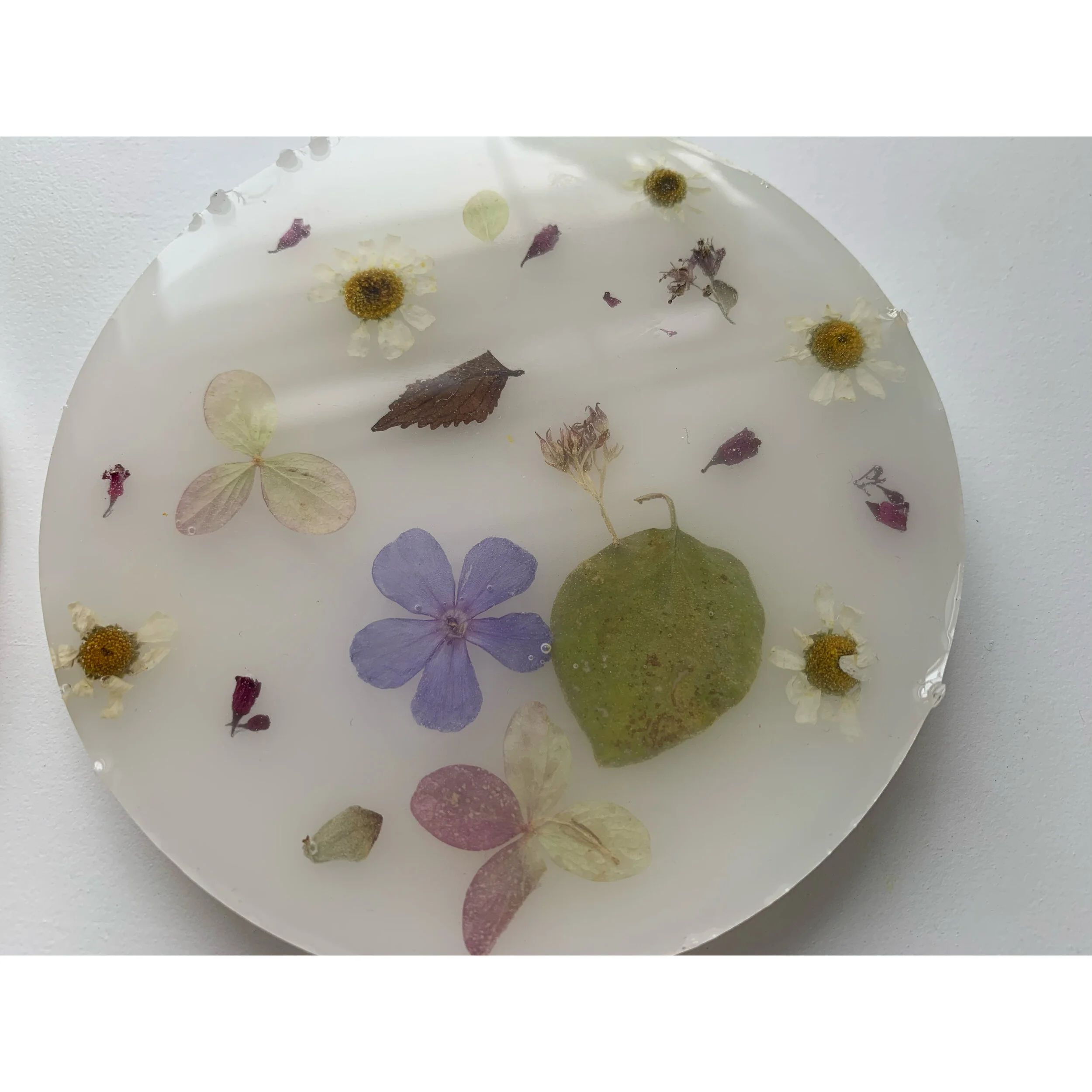 AfterlightImage 151.JPG