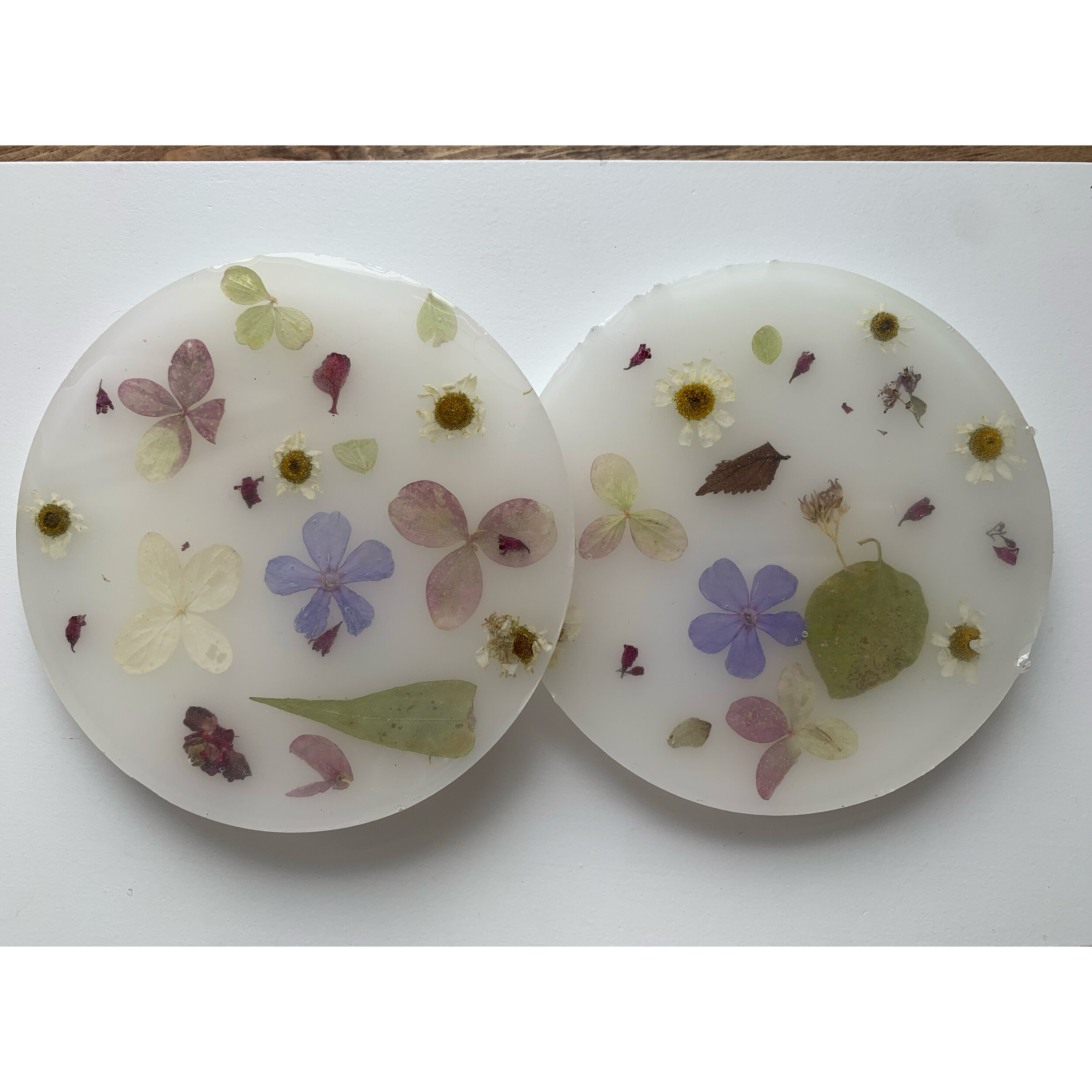 AfterlightImage 152.JPG