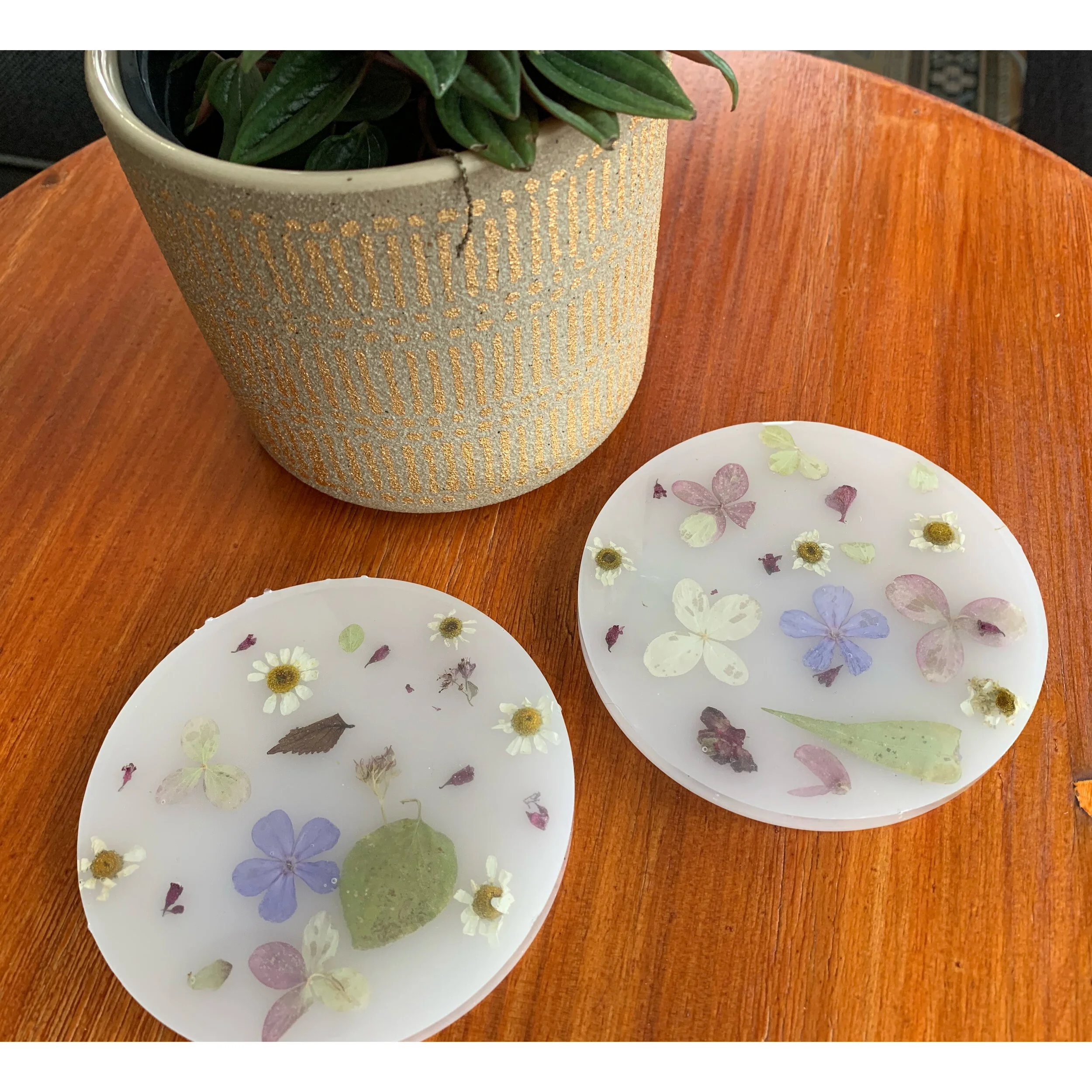 Milk Bath Coasters